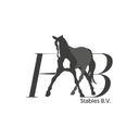 FAB Stables BV - Profile Picture
