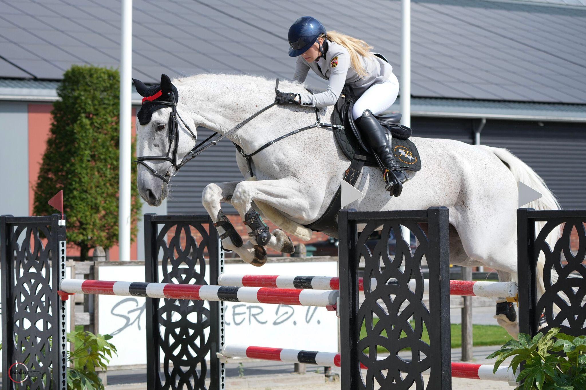 Springpaard te Koop | PaardPlaats