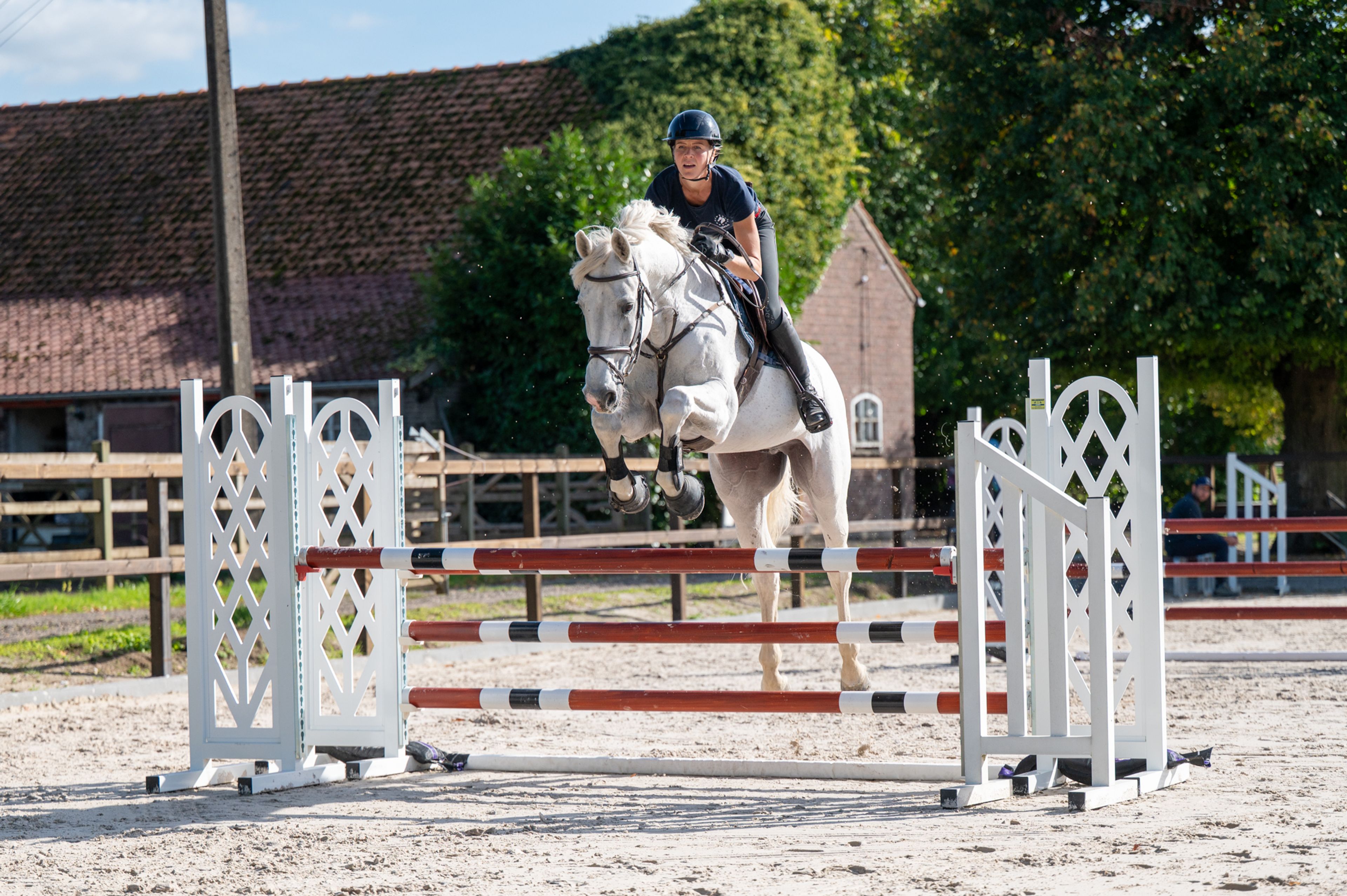Maserati Quality (CARTHAGO x CORIANO)