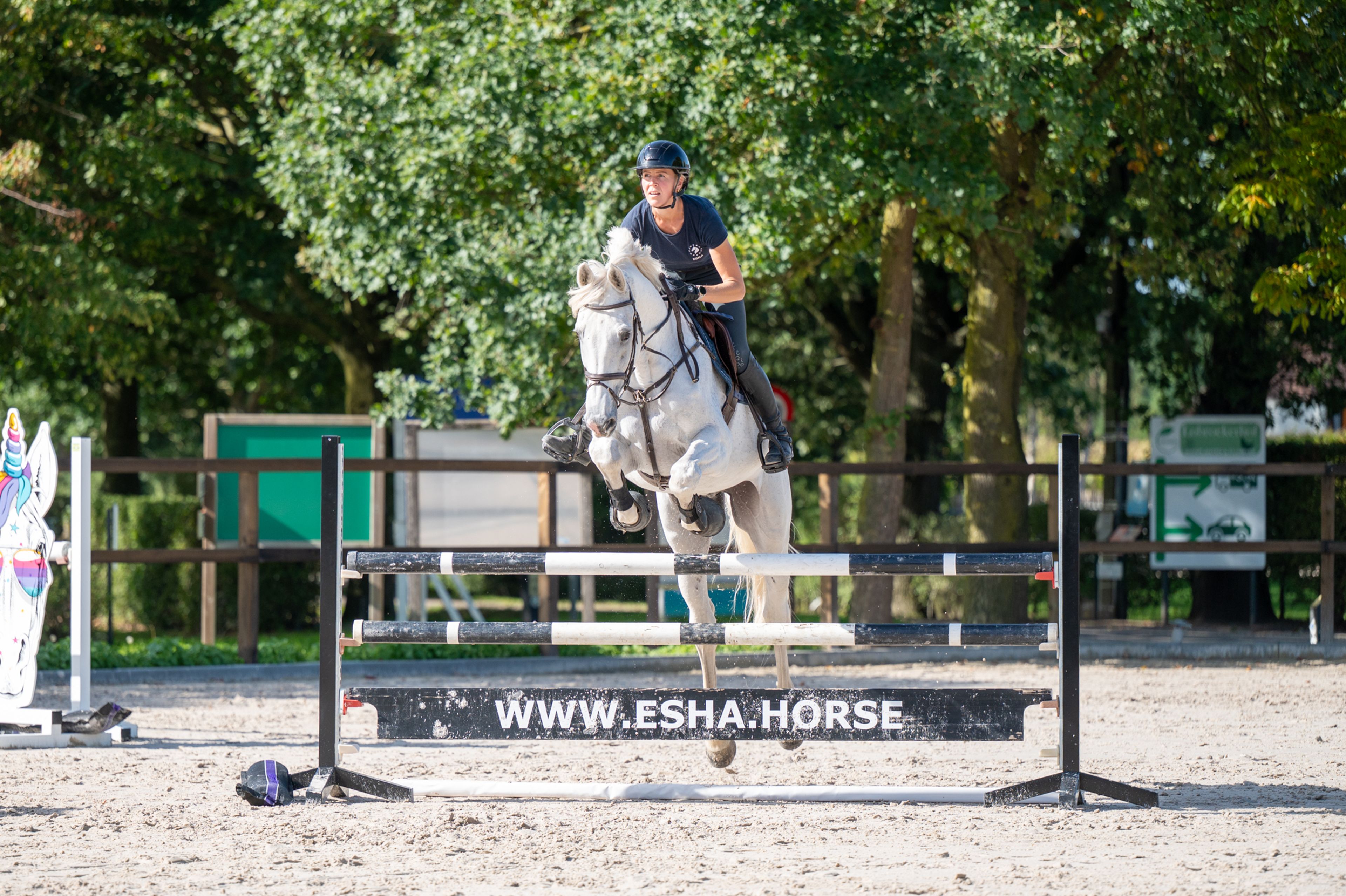 Maserati Quality (CARTHAGO x CORIANO) - Image 2