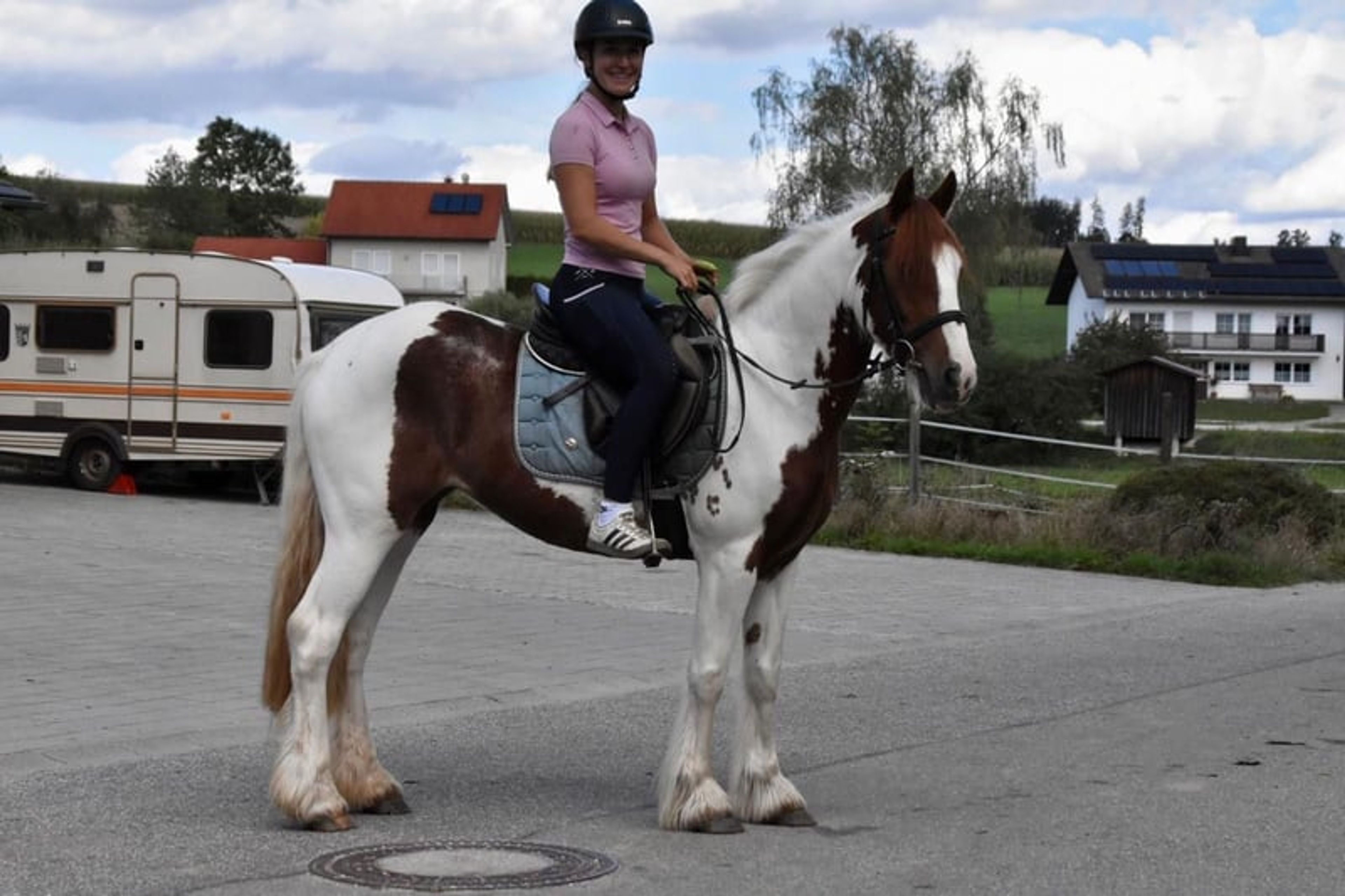Leisure horse, reliable ride, therapy horse, mare - Image 5