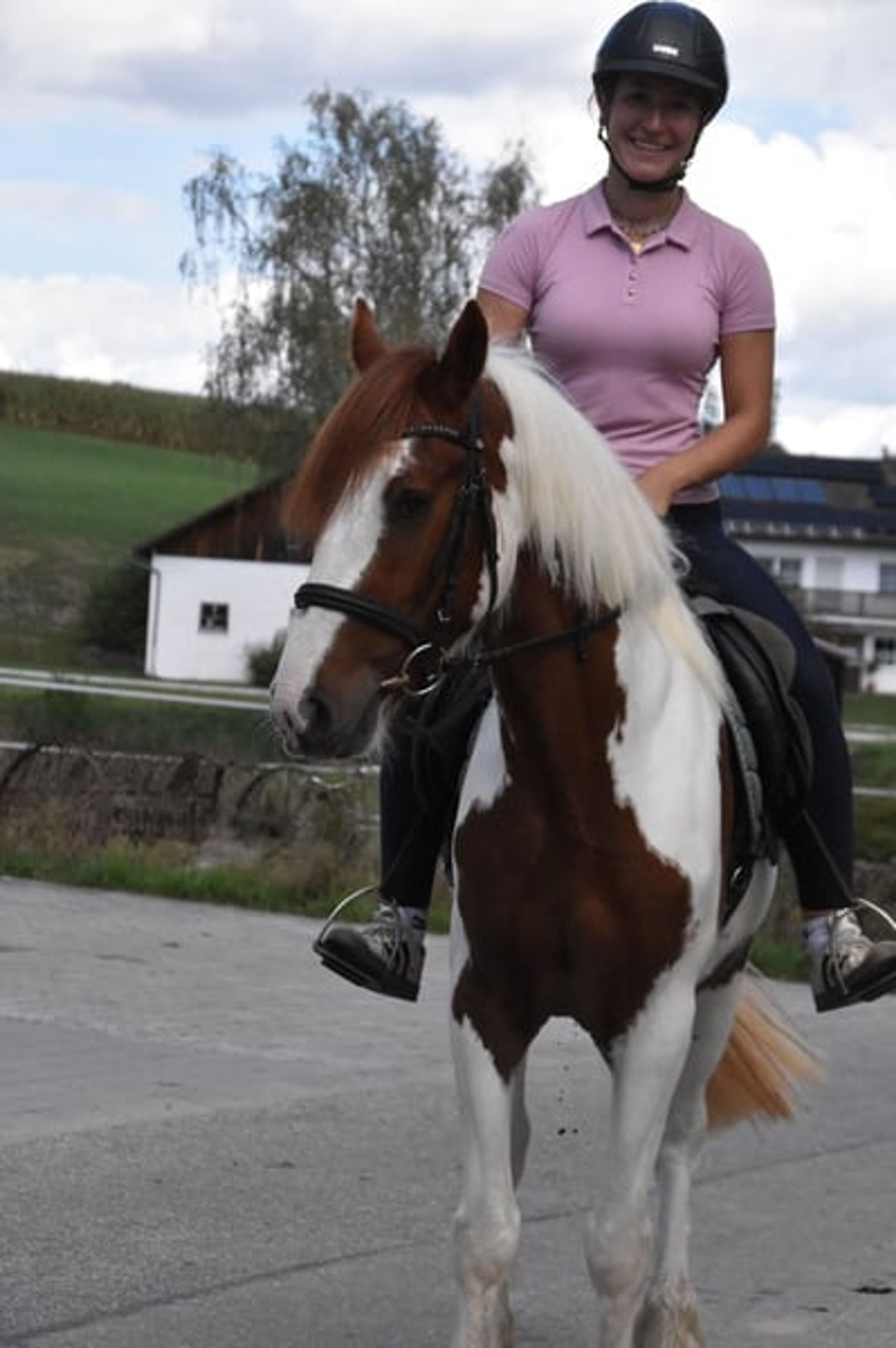 Leisure horse, reliable ride, therapy horse, mare - Image 7