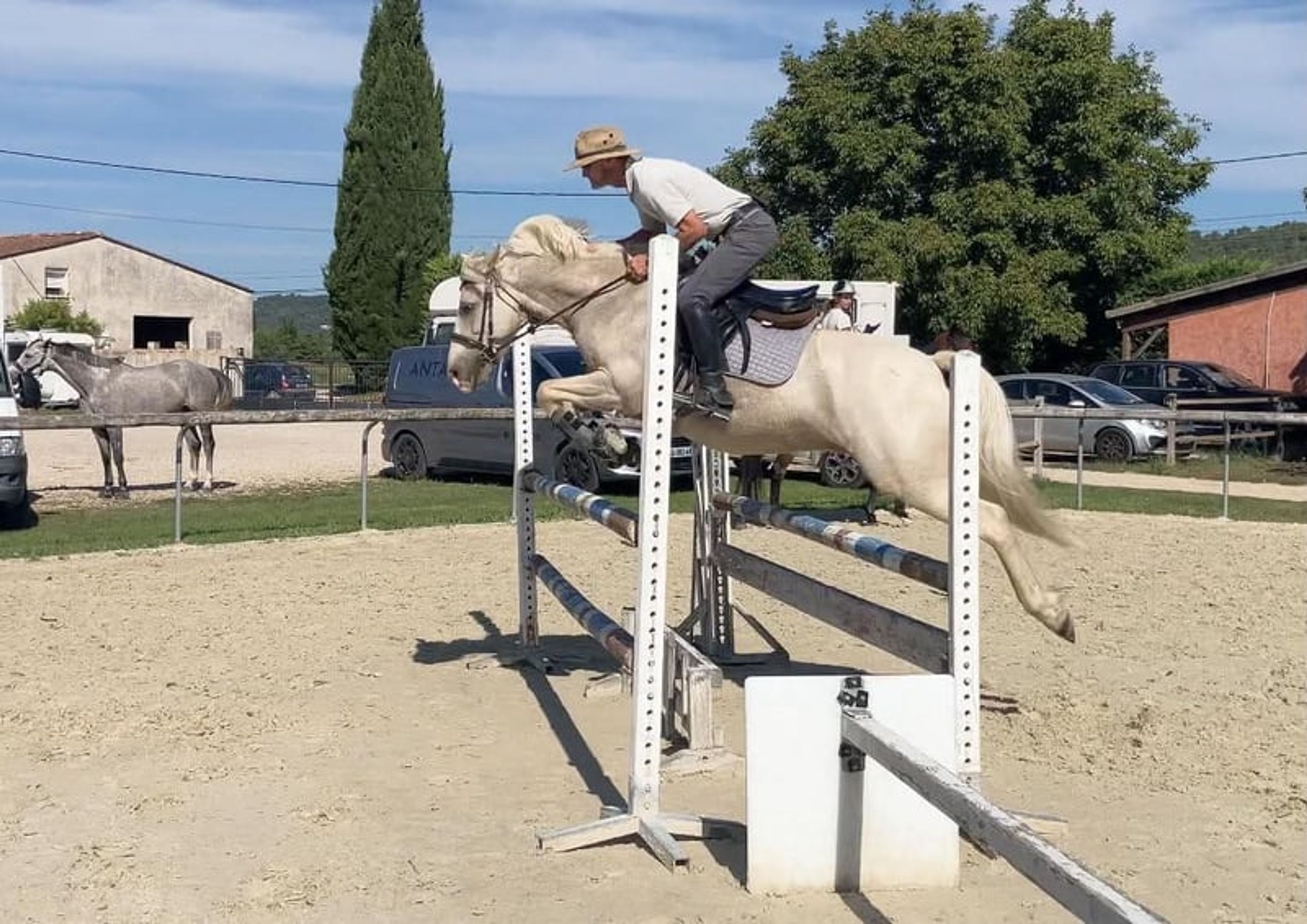 Gelding – French Riding Pony – 9 years old – Eventing/Show Jumping/All-rounder – France - Image 2