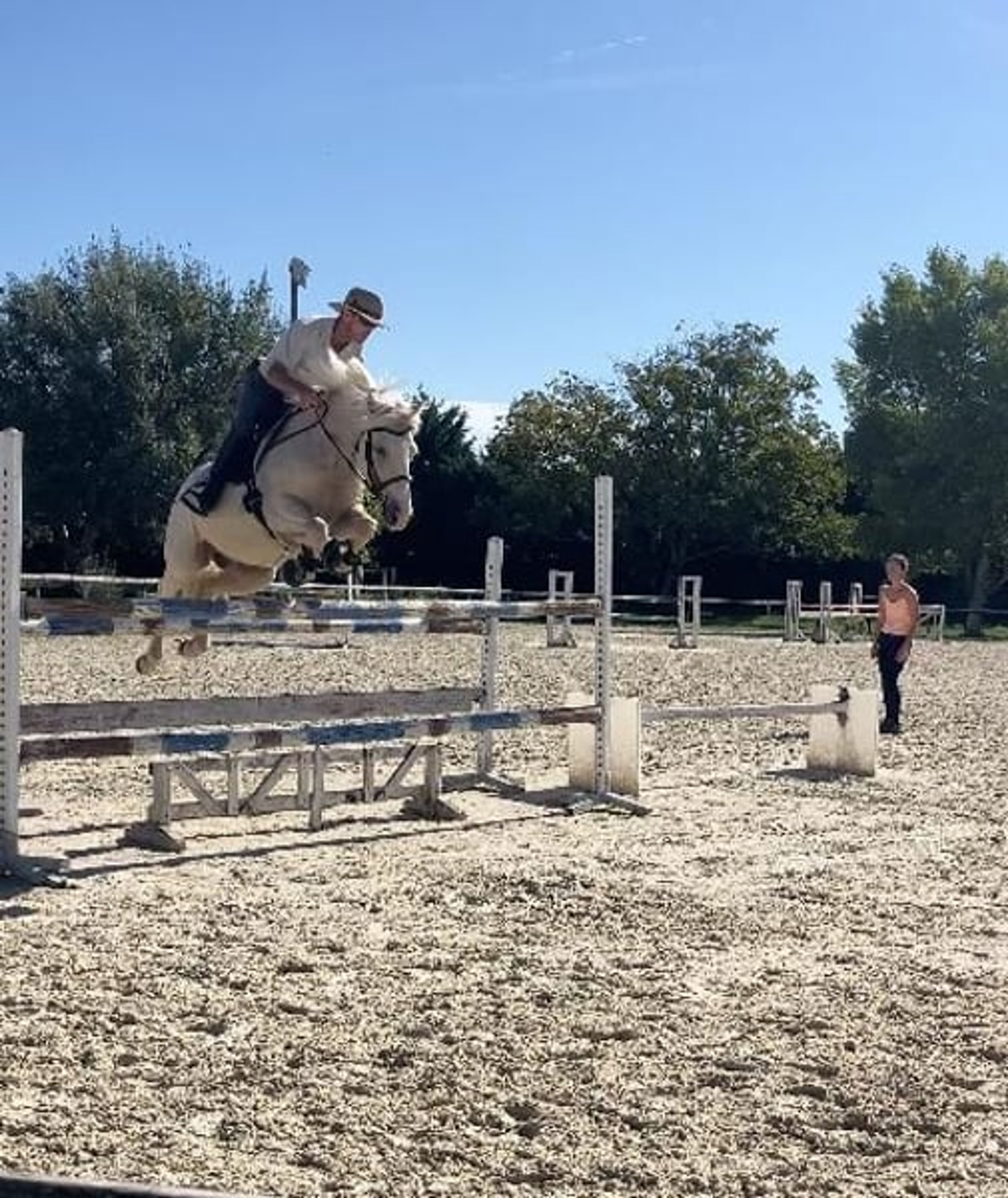 Gelding – French Riding Pony – 9 years old – Eventing/Show Jumping/All-rounder – France - Image 3