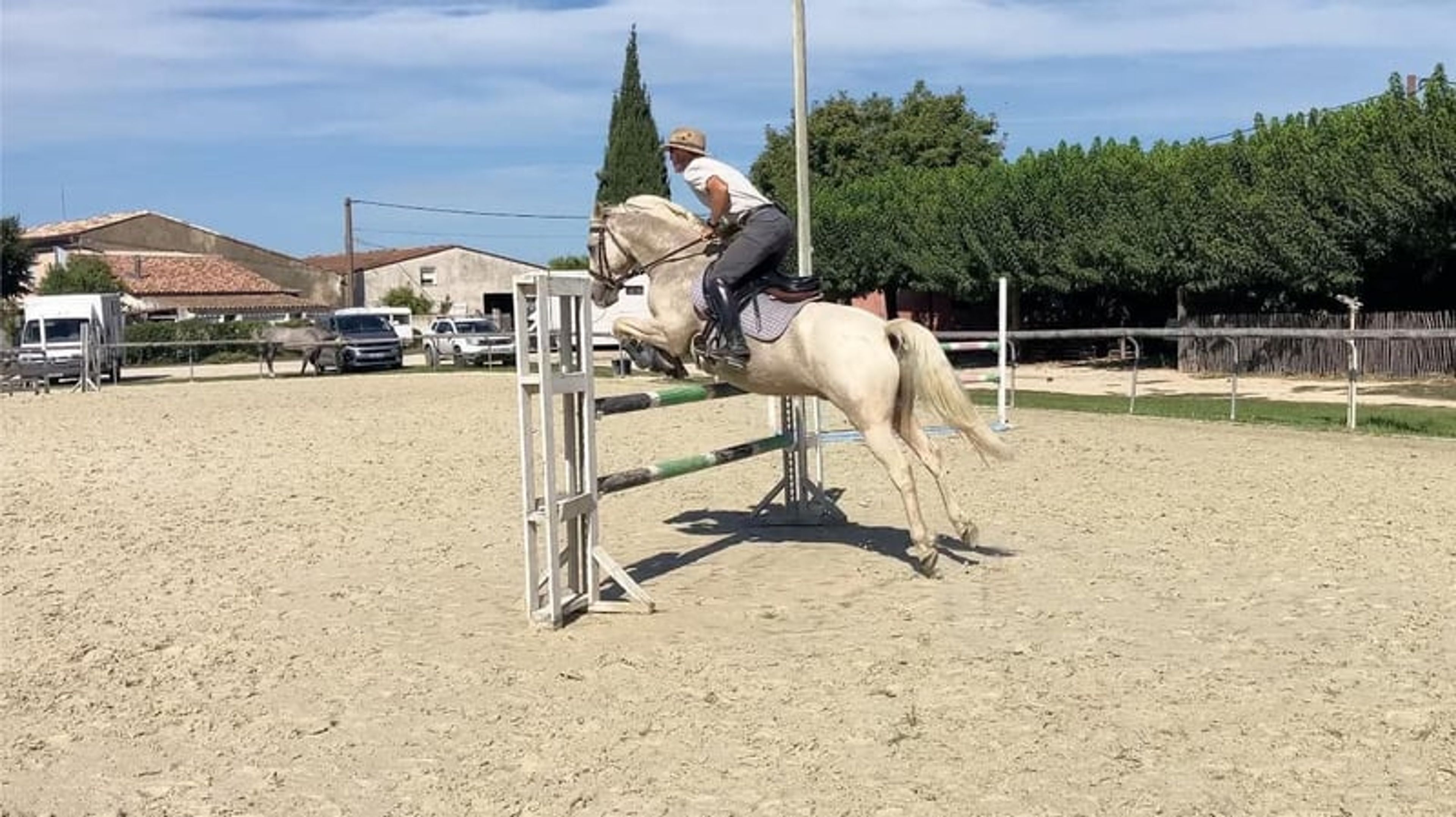 Gelding – French Riding Pony – 9 years old – Eventing/Show Jumping/All-rounder – France - Image 4