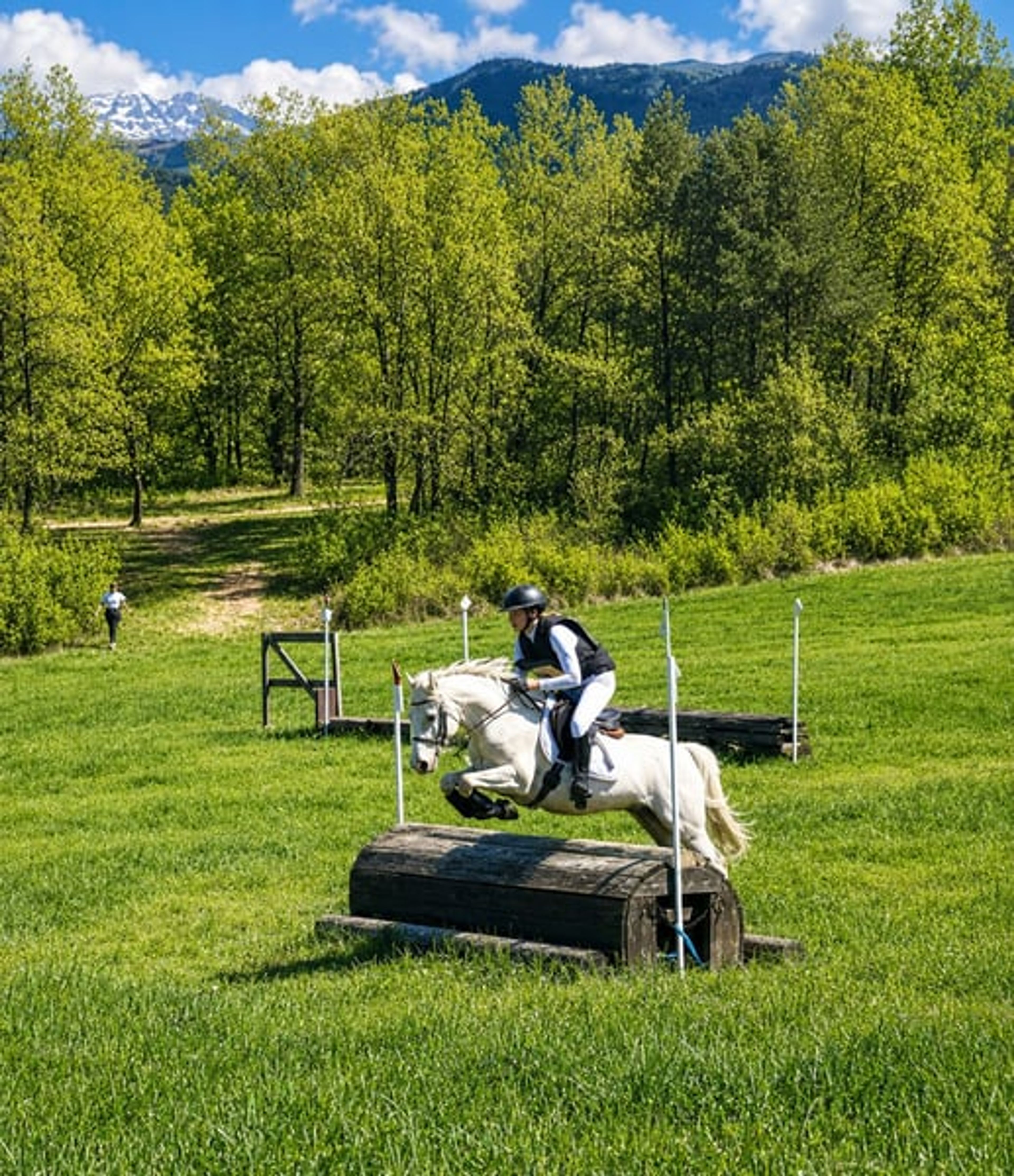 Gelding – French Riding Pony – 9 years old – Eventing/Show Jumping/All-rounder – France - Image 6