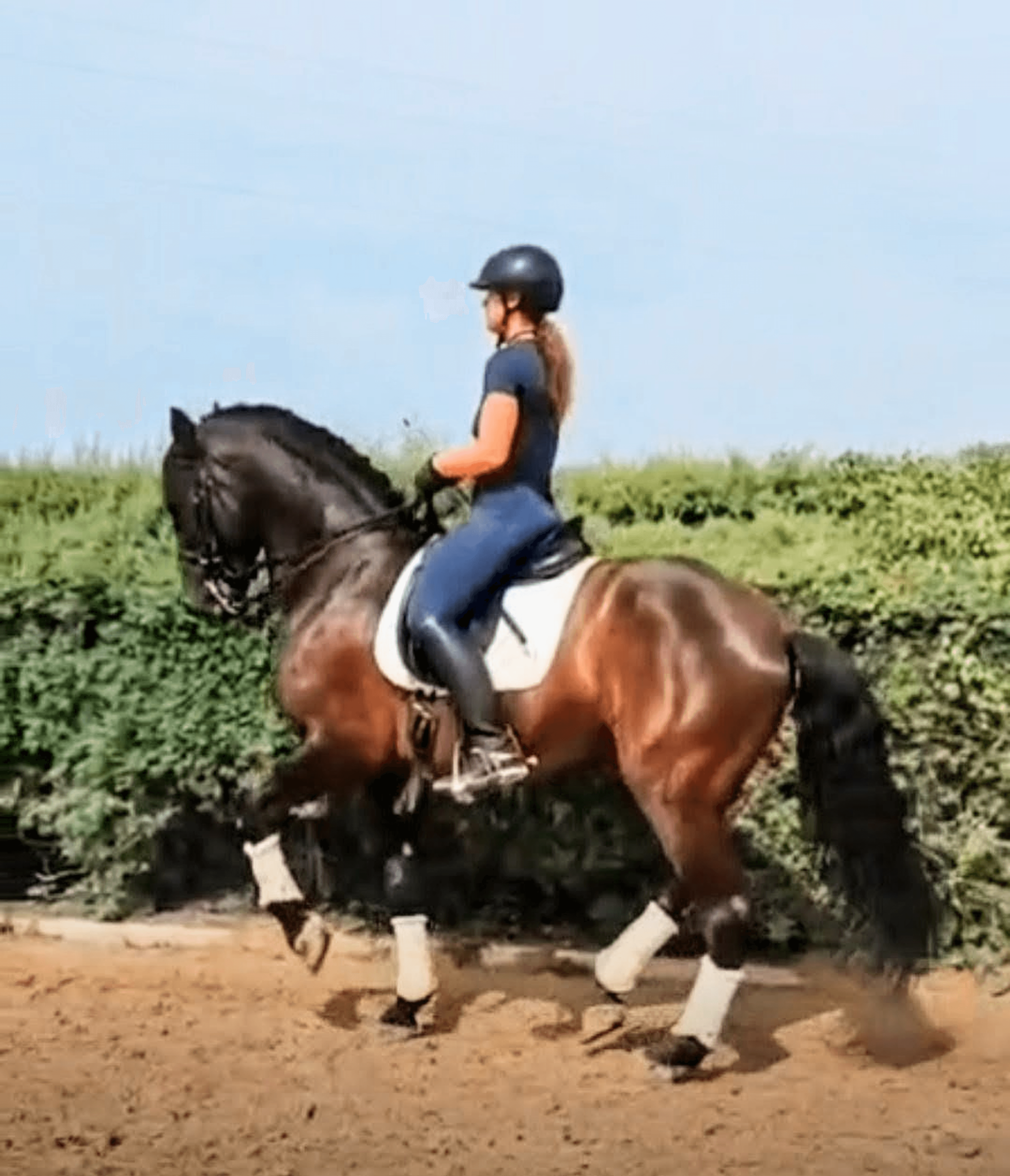 Black Magic - Image 1