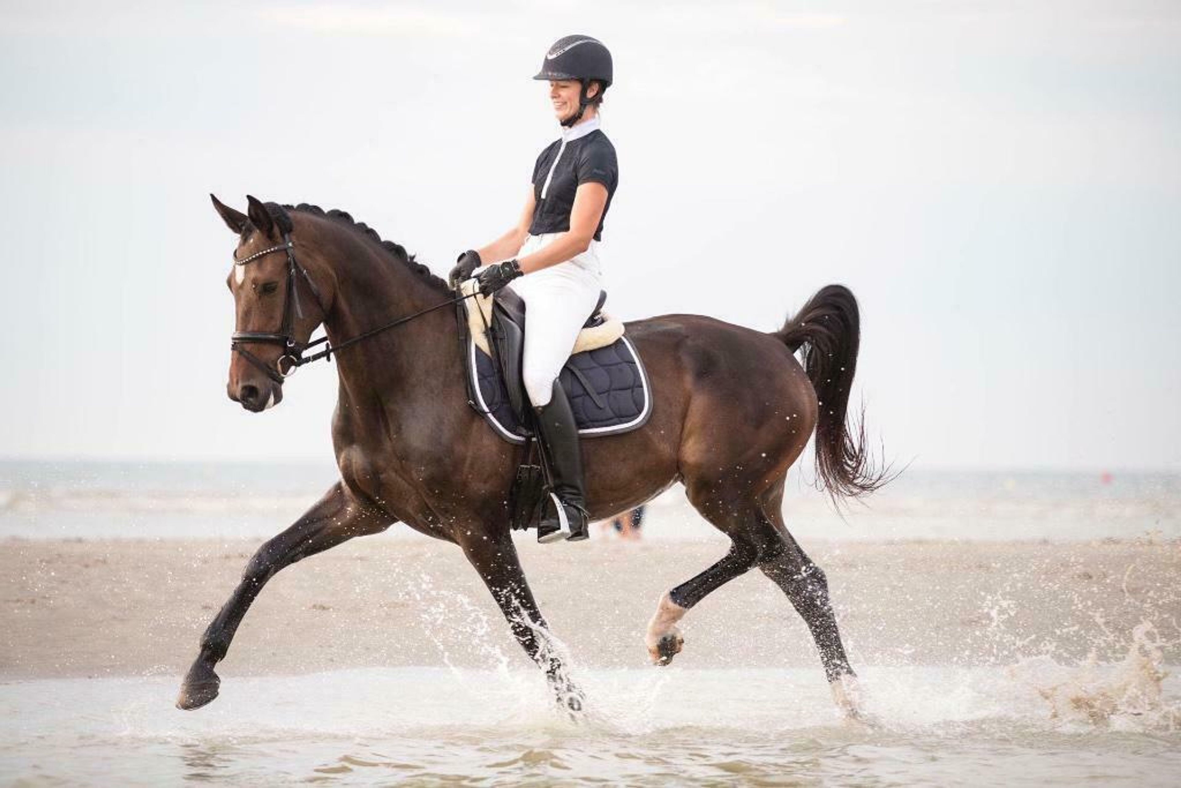 Espresso Martini Extra Z - Image 3