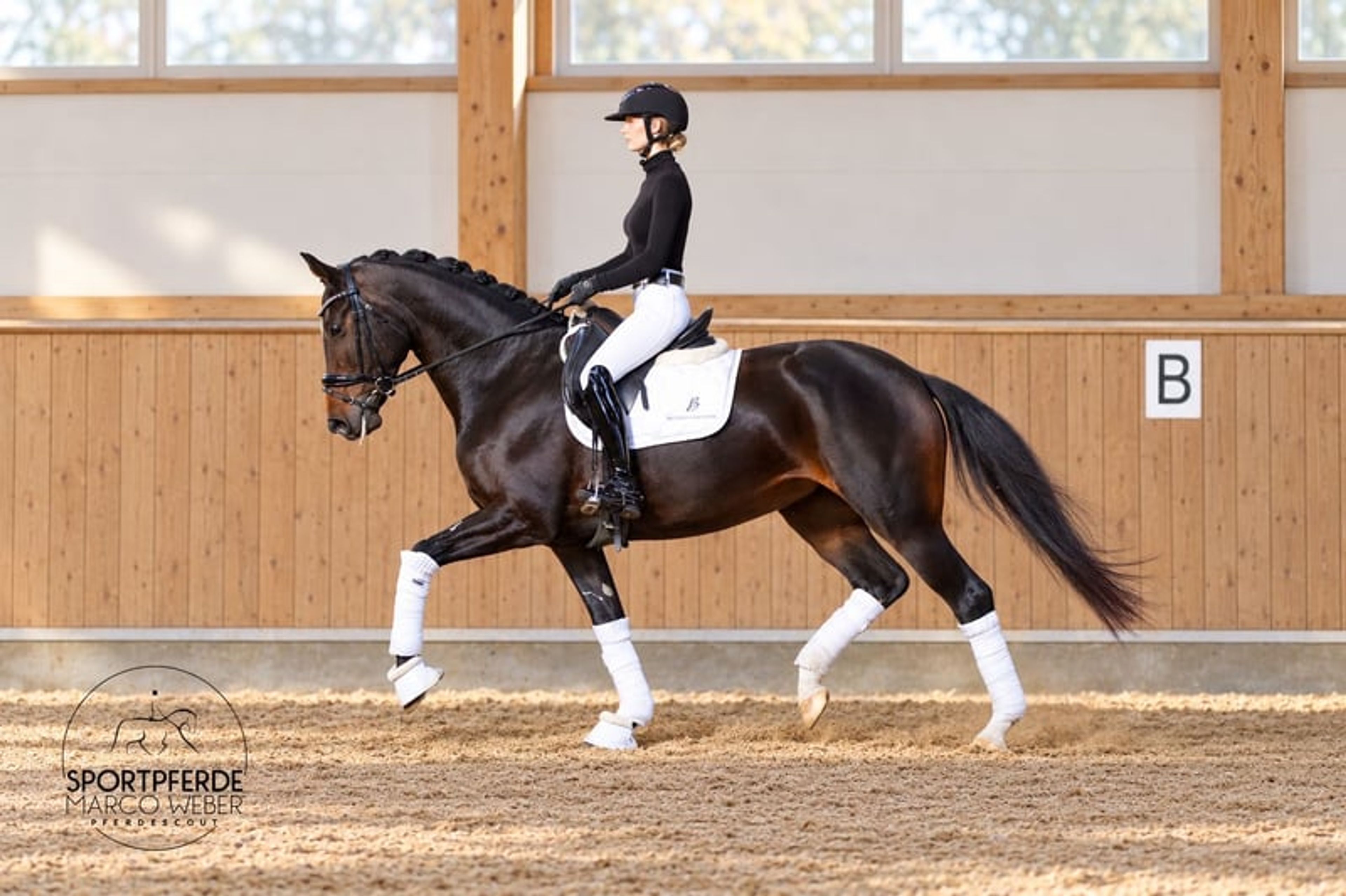 Dream mare - Image 5