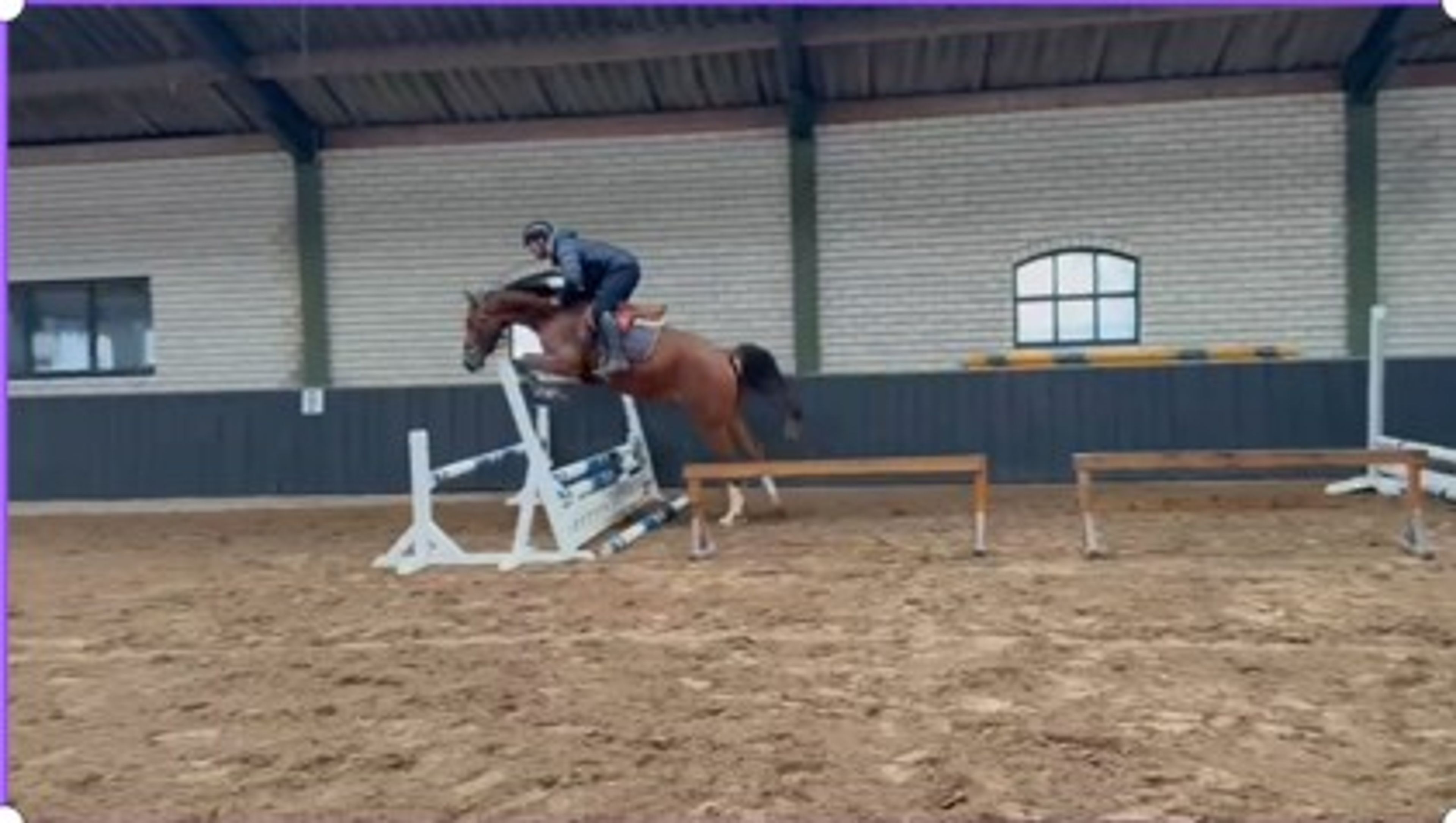 Corazon Z ☆ (CLICKSEM x VLEUT) - Image 1