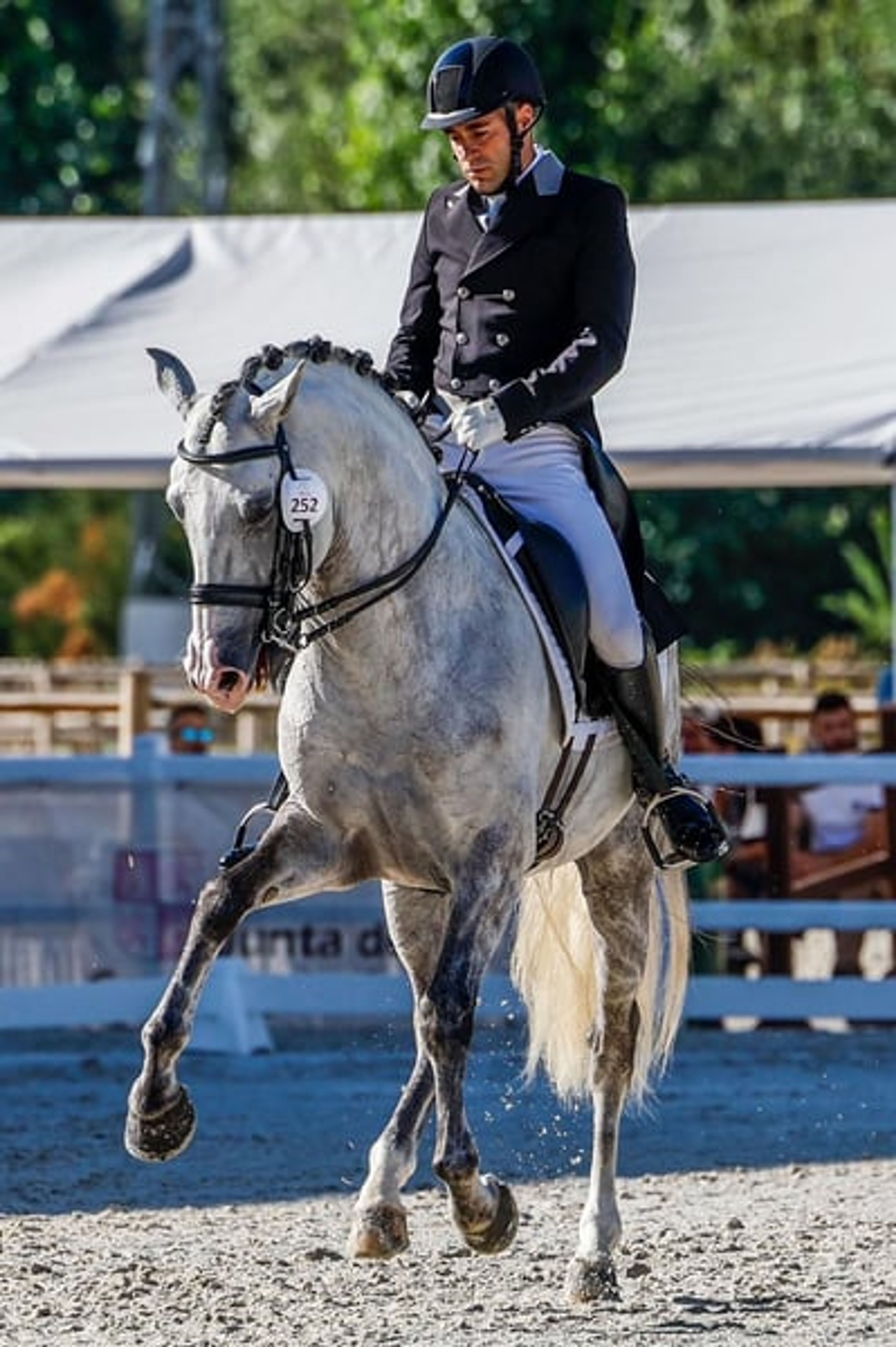 ONE IN A MILLION: GP GERITTENER & INTERNATIONAL PLATZIERTER PSL - Image 2