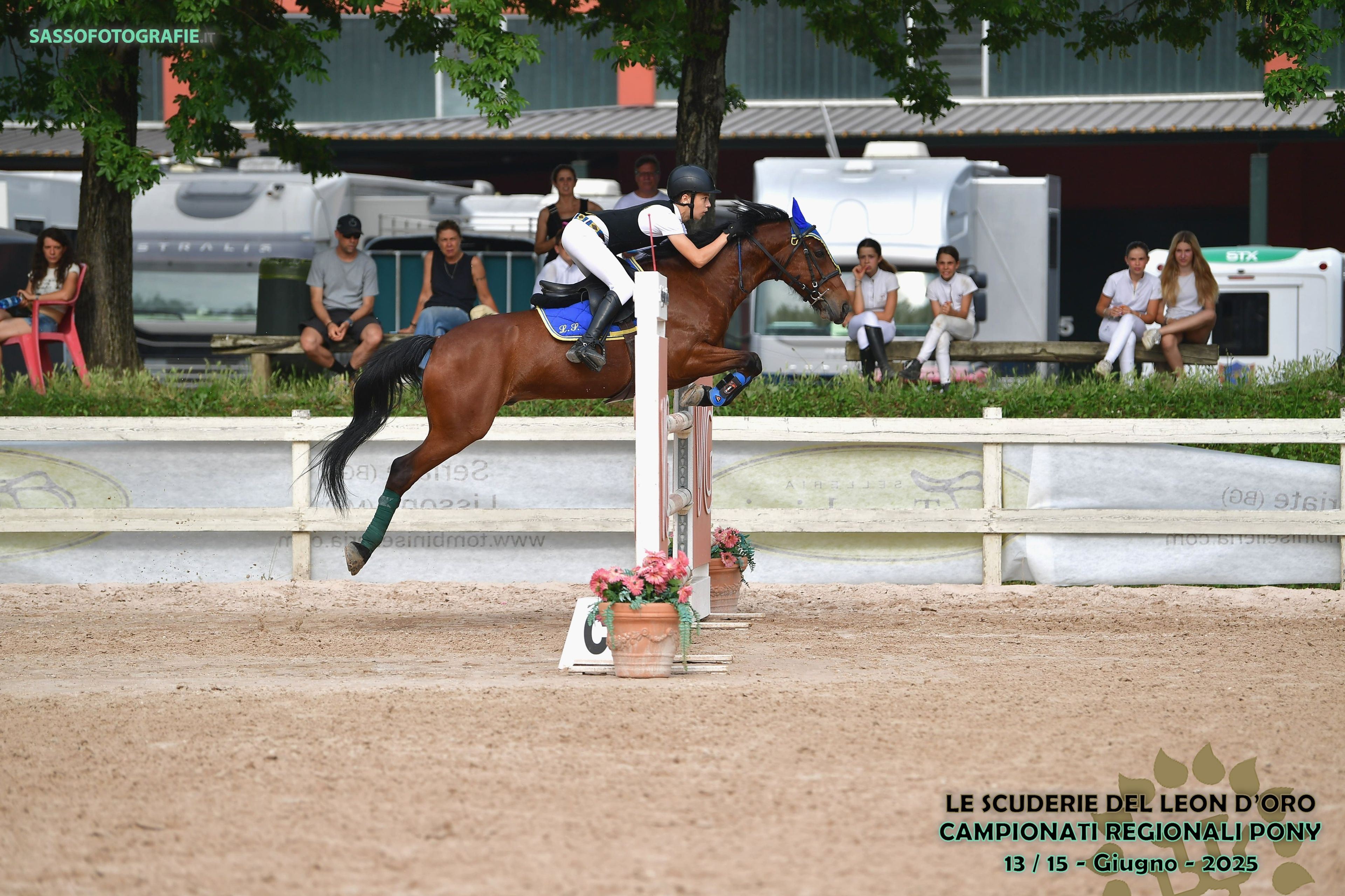 GASPAR DU ROSEMONT - Image 1