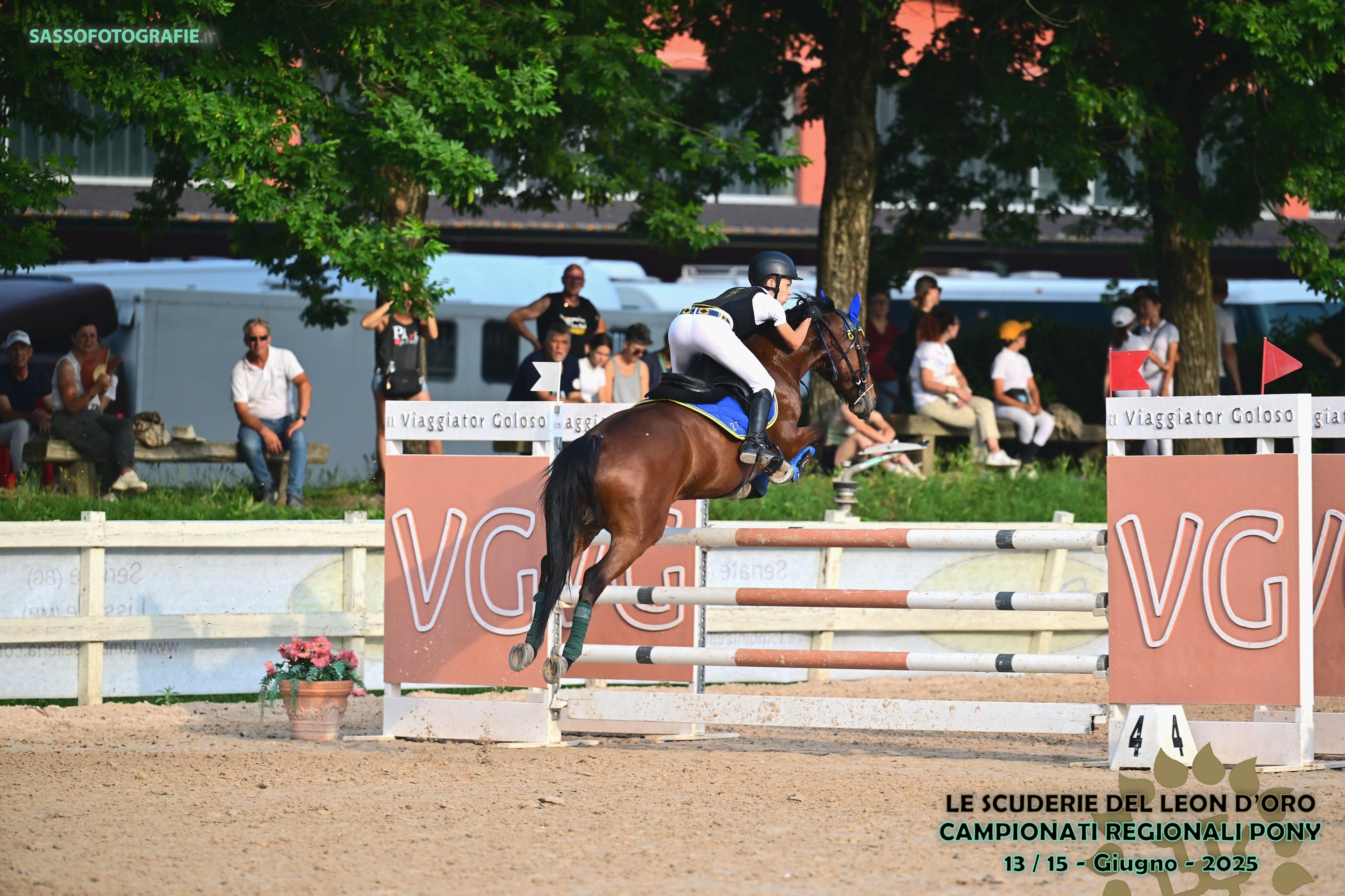 GASPAR DU ROSEMONT - Image 3