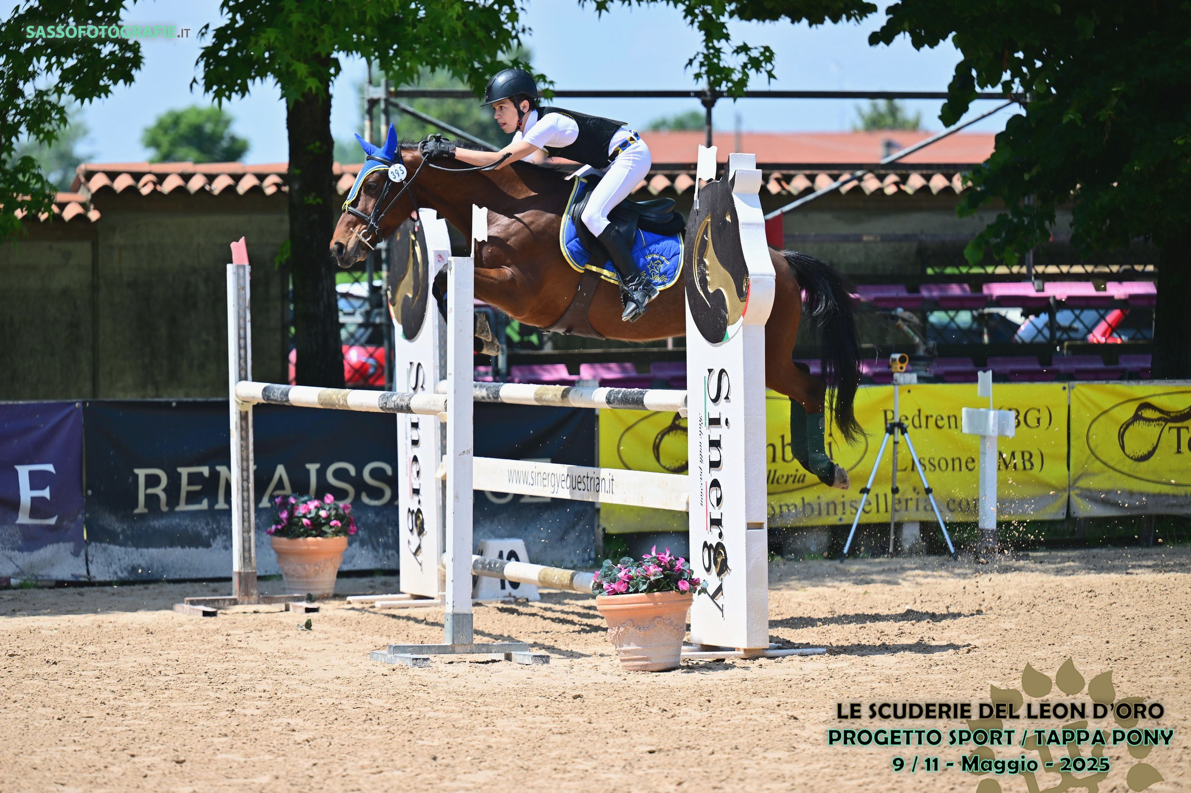 GASPAR DU ROSEMONT - Image 4