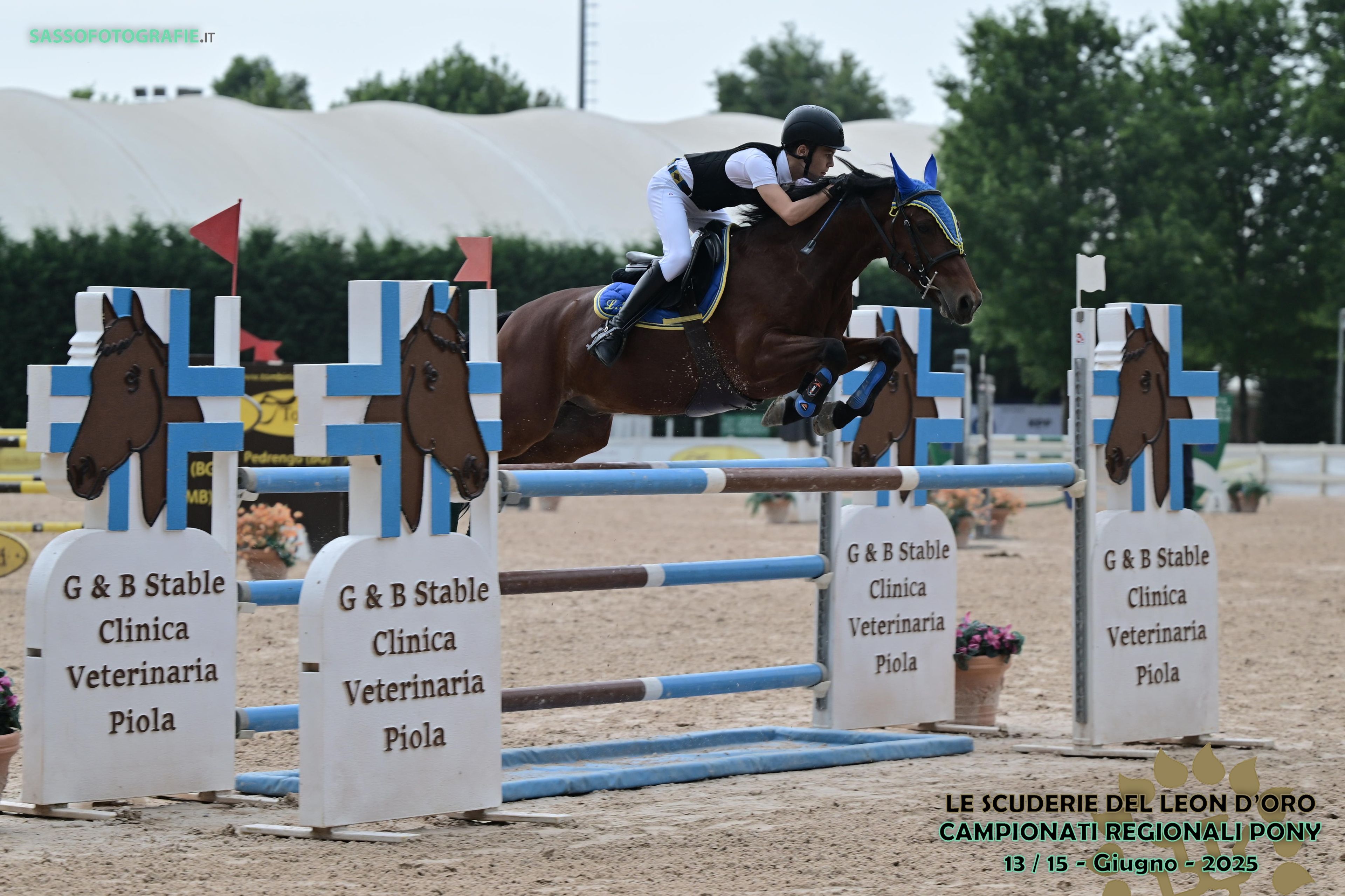 GASPAR DU ROSEMONT - Image 5