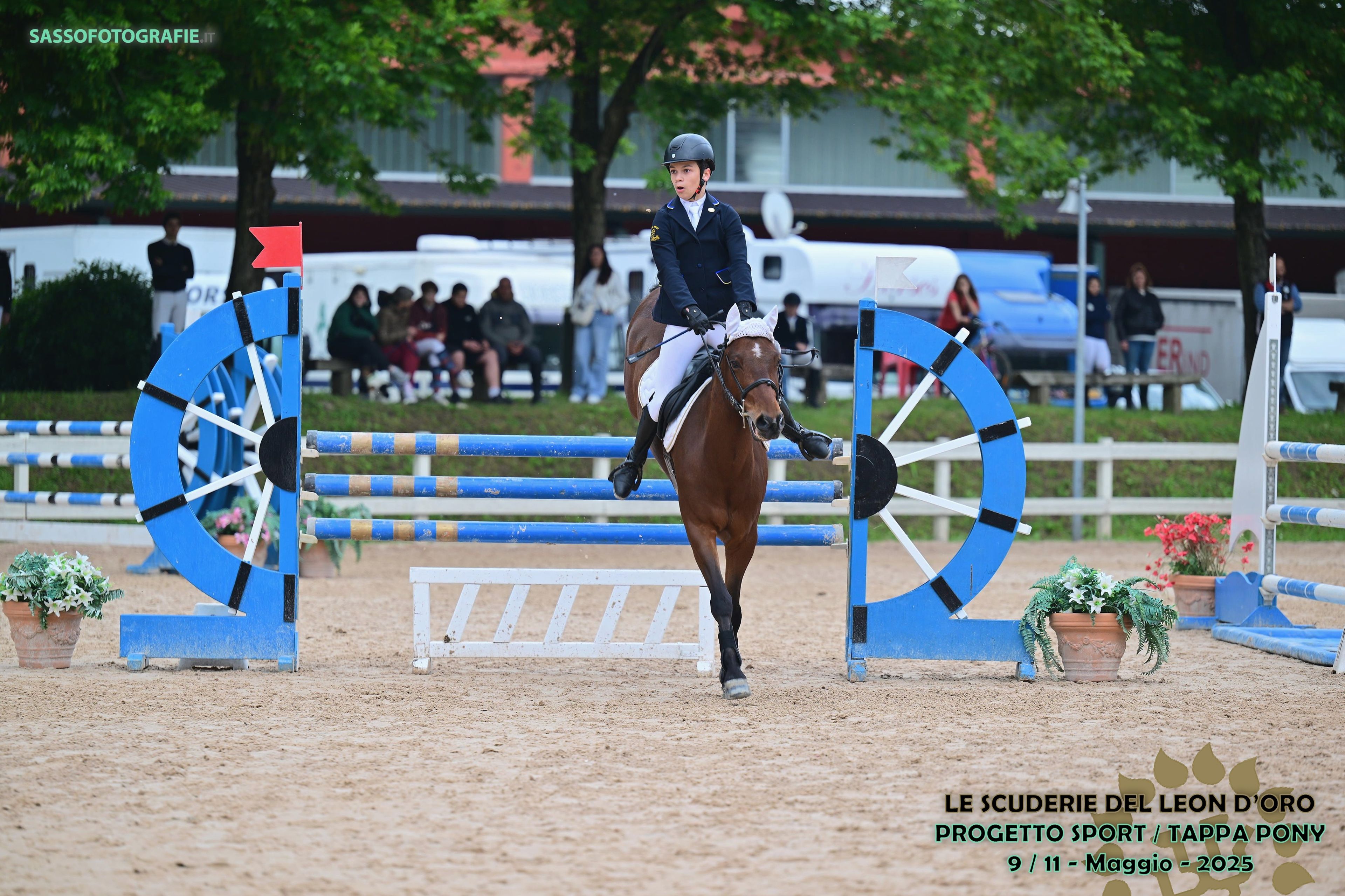 GASPAR DU ROSEMONT - Image 7