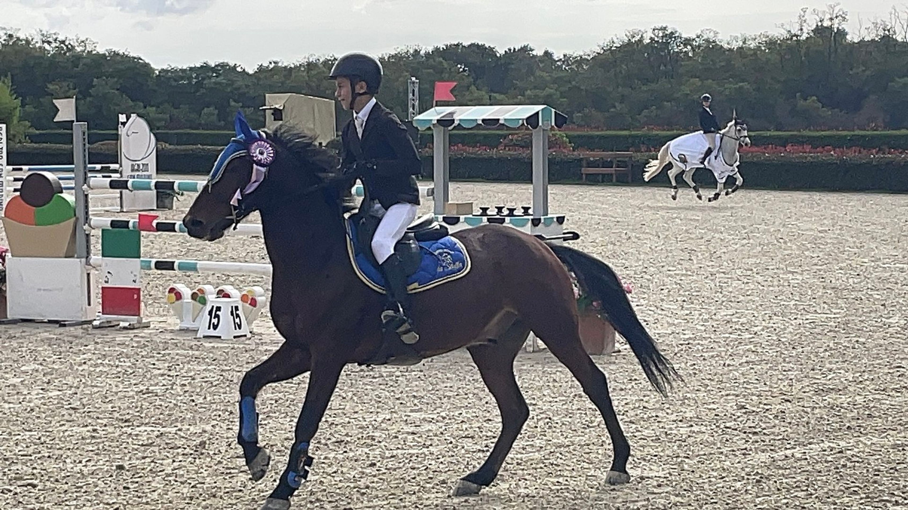 GASPAR DU ROSEMONT - Image 8