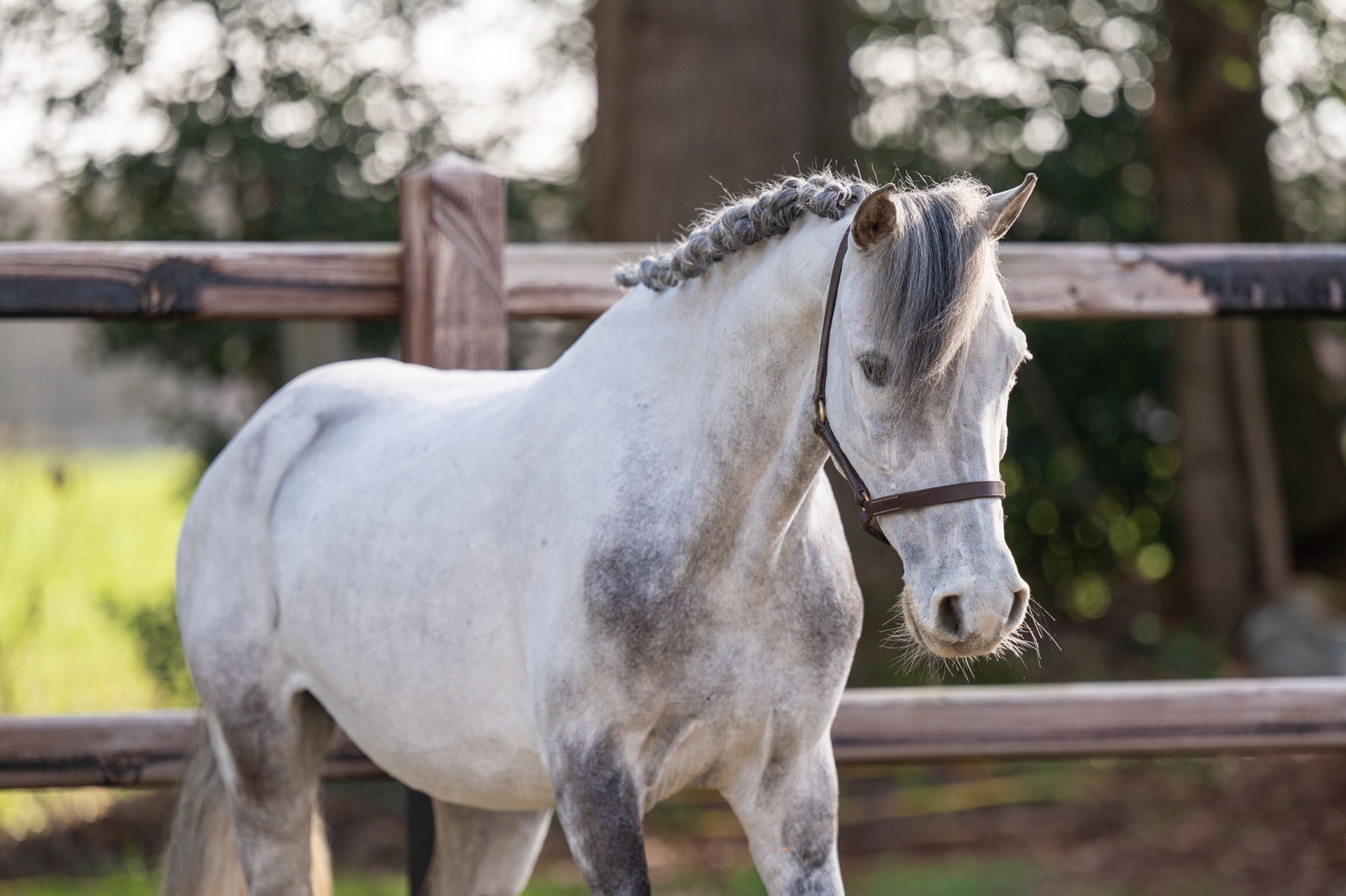 Tresor (UNKNOWN x UNKNOWN) - Image 1