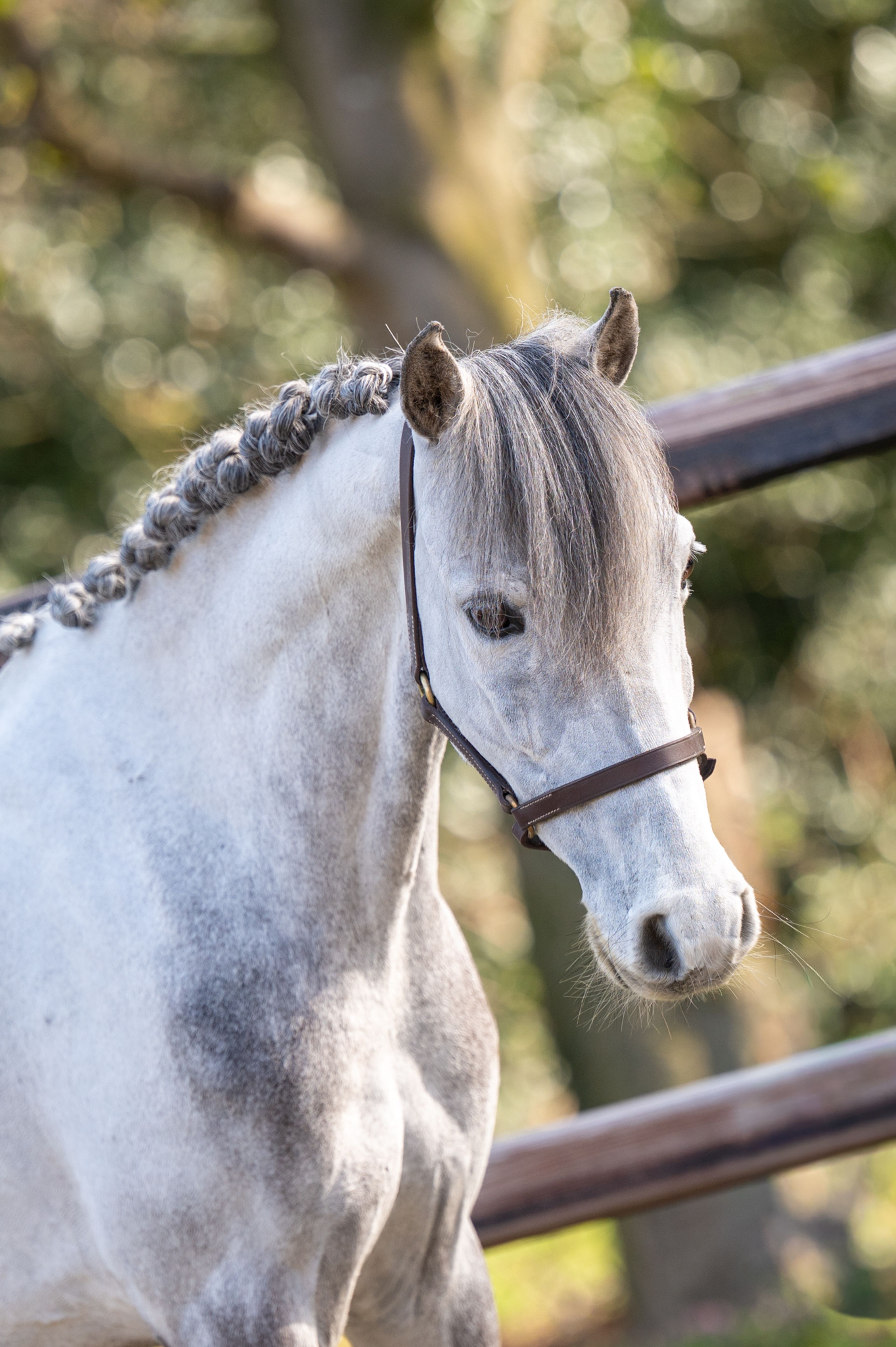 Tresor (UNKNOWN x UNKNOWN) - Image 2