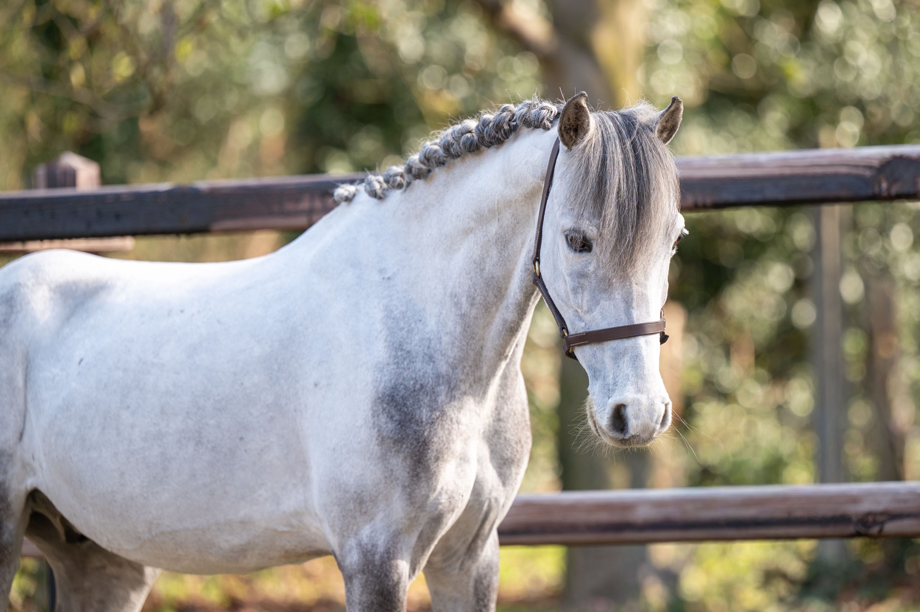 Tresor (UNKNOWN x UNKNOWN) - Image 4