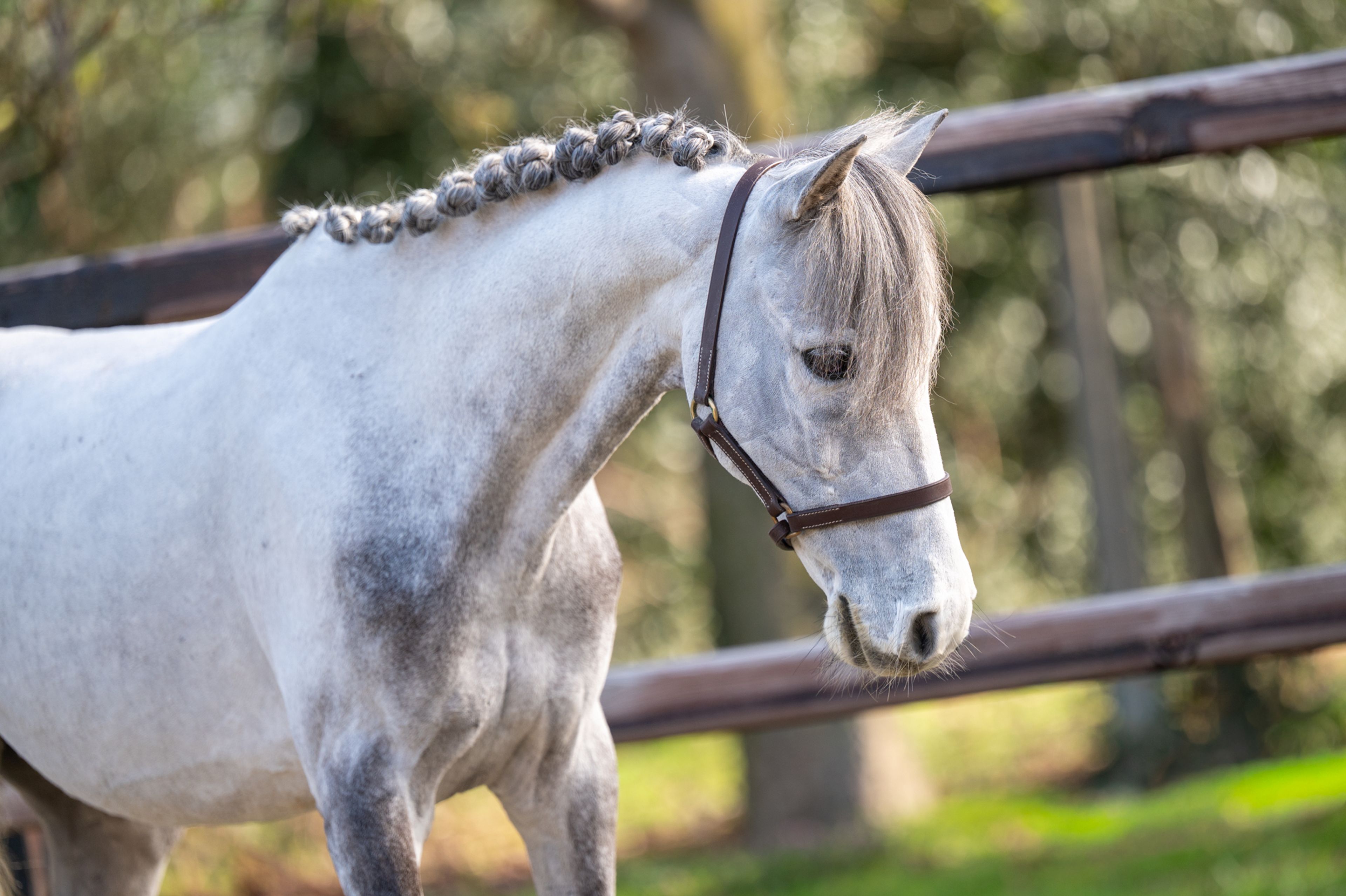 Tresor (UNKNOWN x UNKNOWN) - Image 5