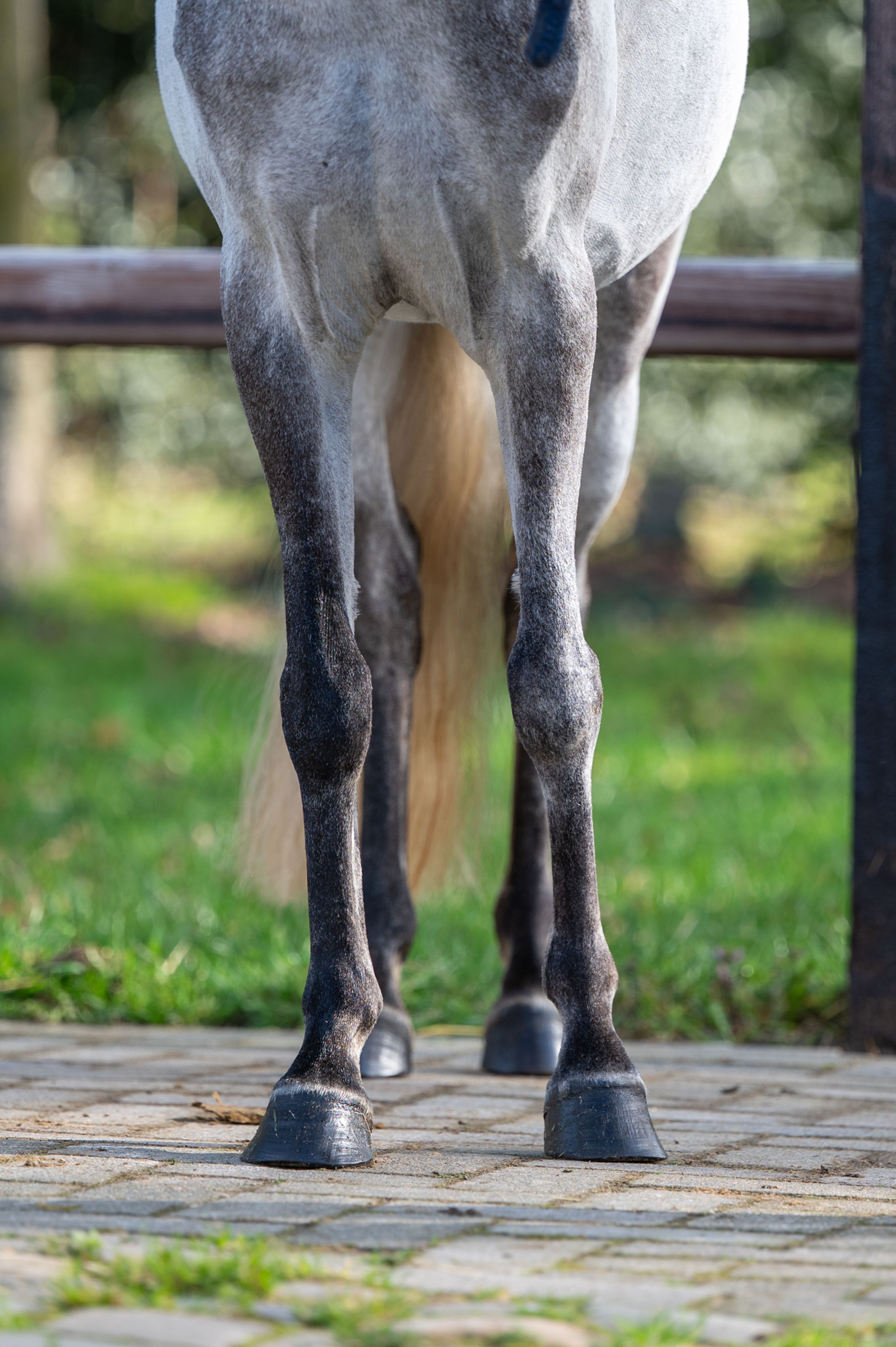 Tresor (UNKNOWN x UNKNOWN) - Image 10