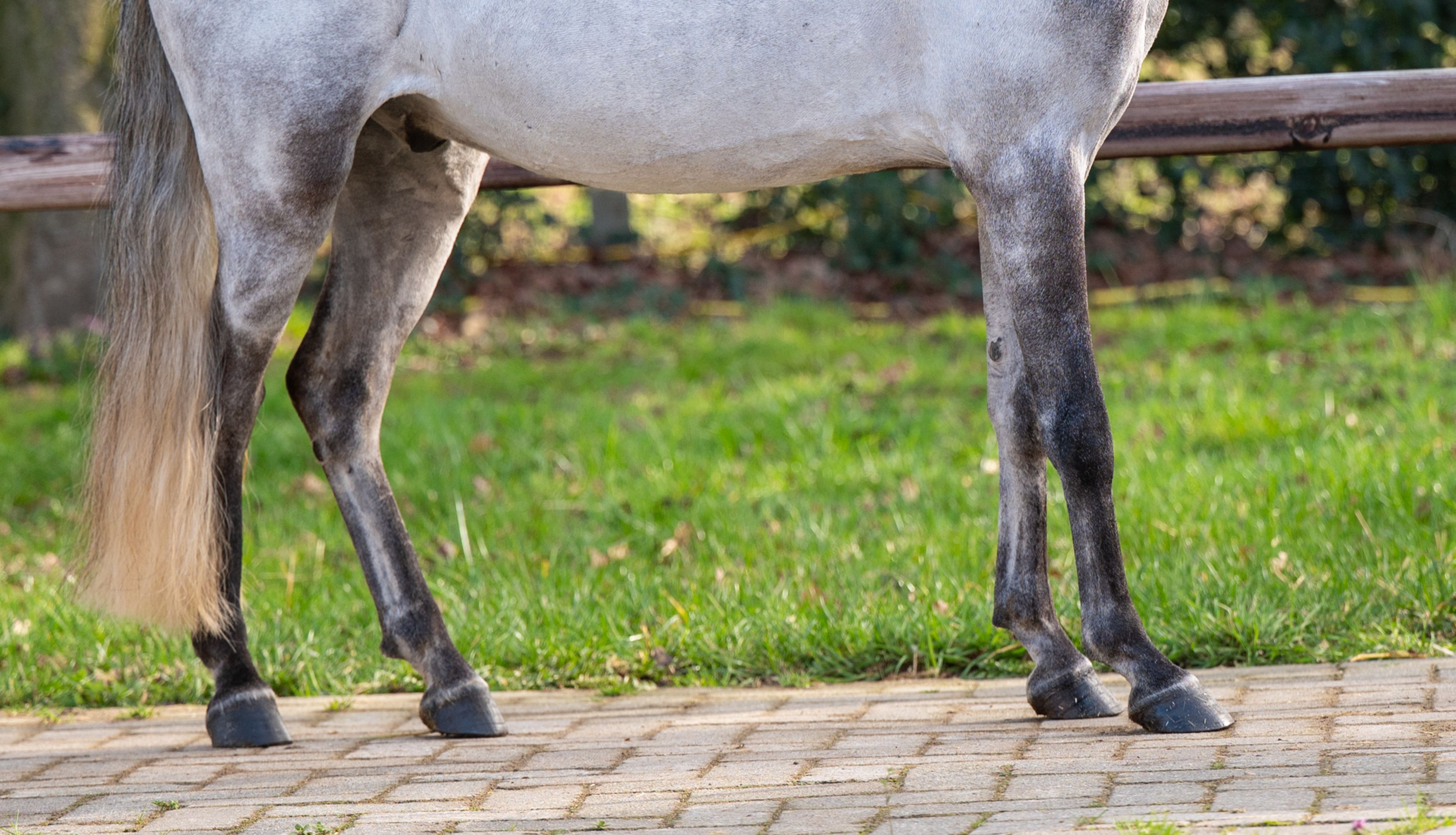 Tresor (UNKNOWN x UNKNOWN) - Image 11