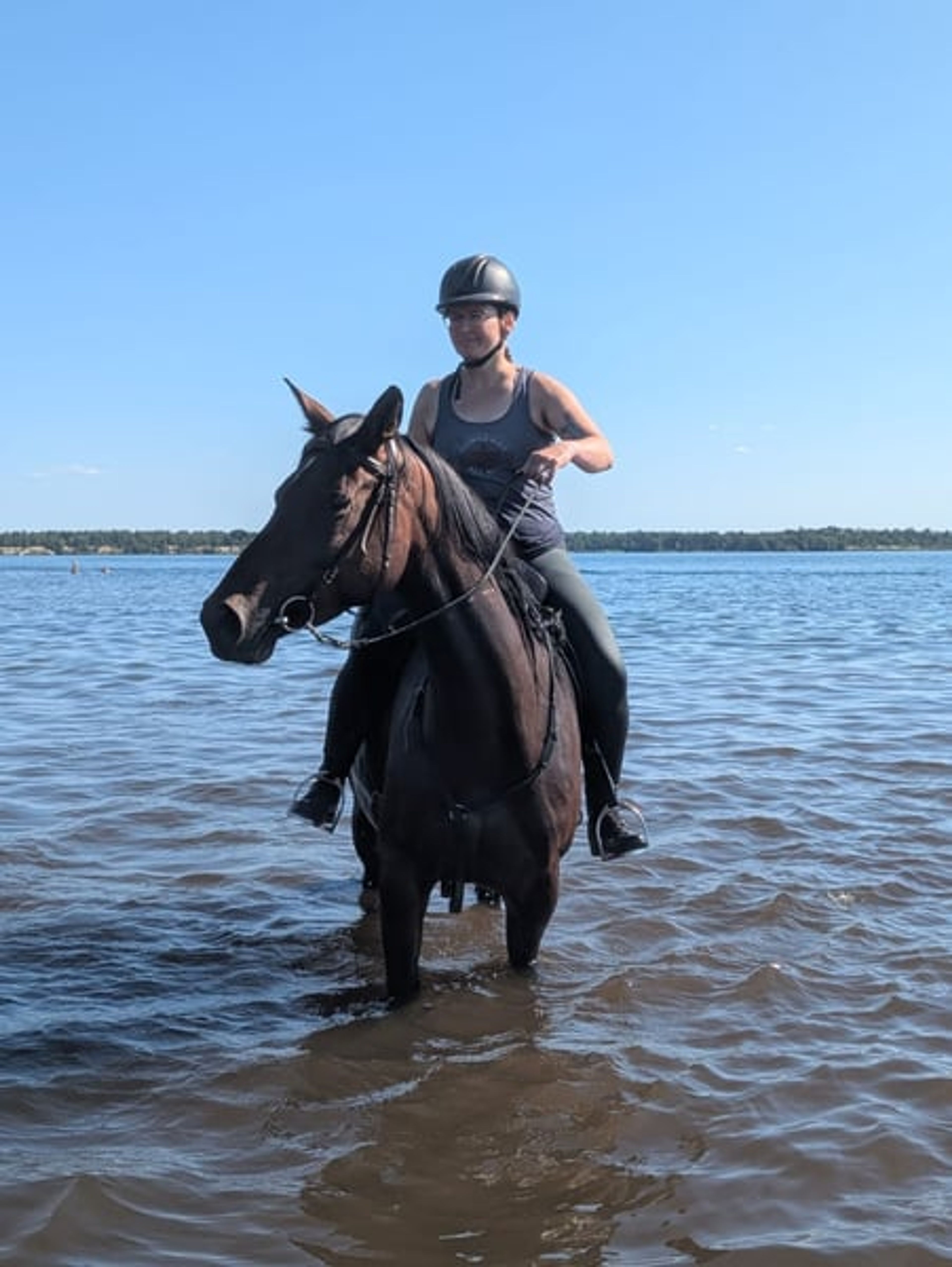 Bred to the very best sport horse standards!