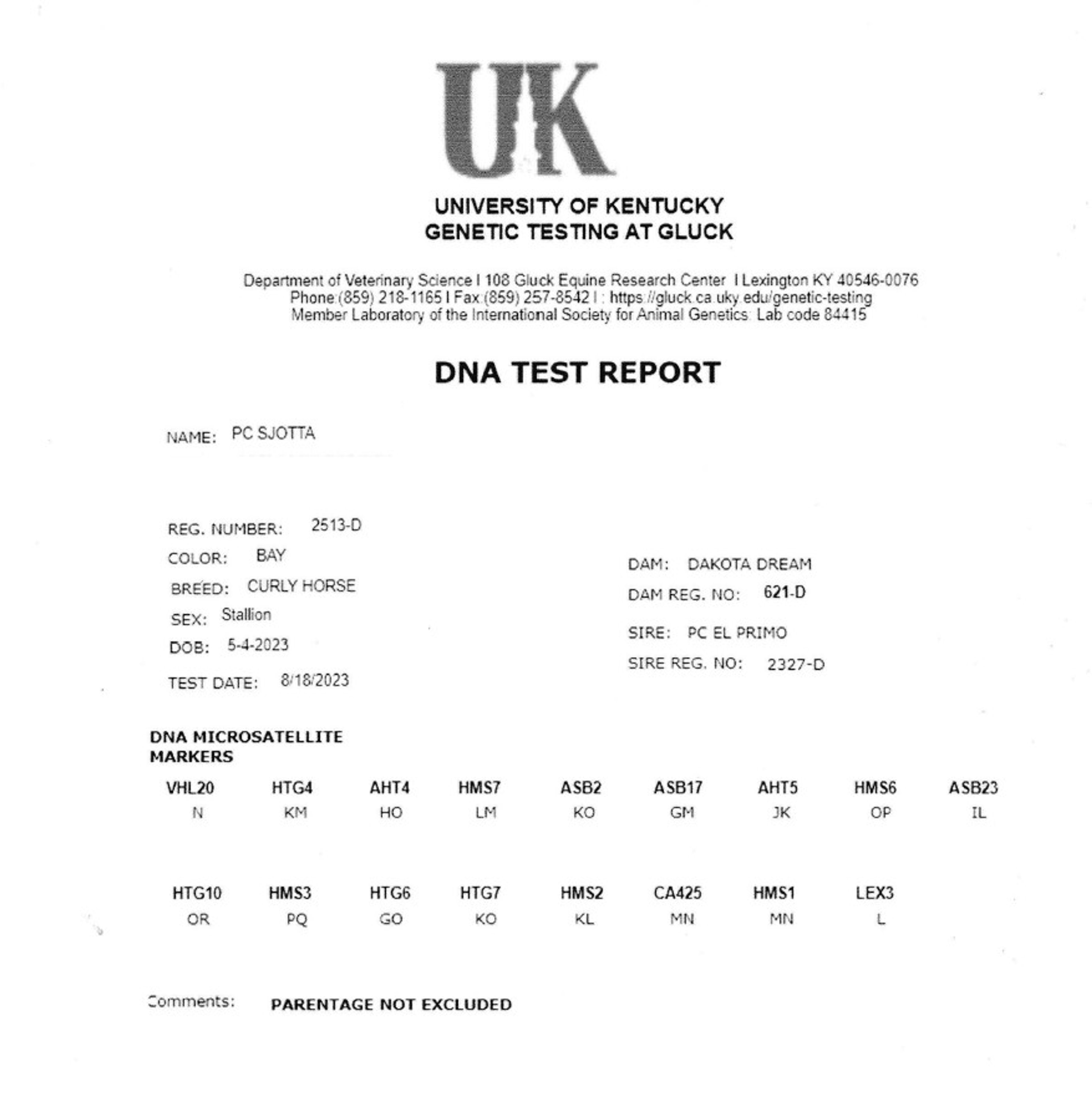 PC Sjötta (PC EL PRIMO x CHARMING JET ROCK IT) - Image 14