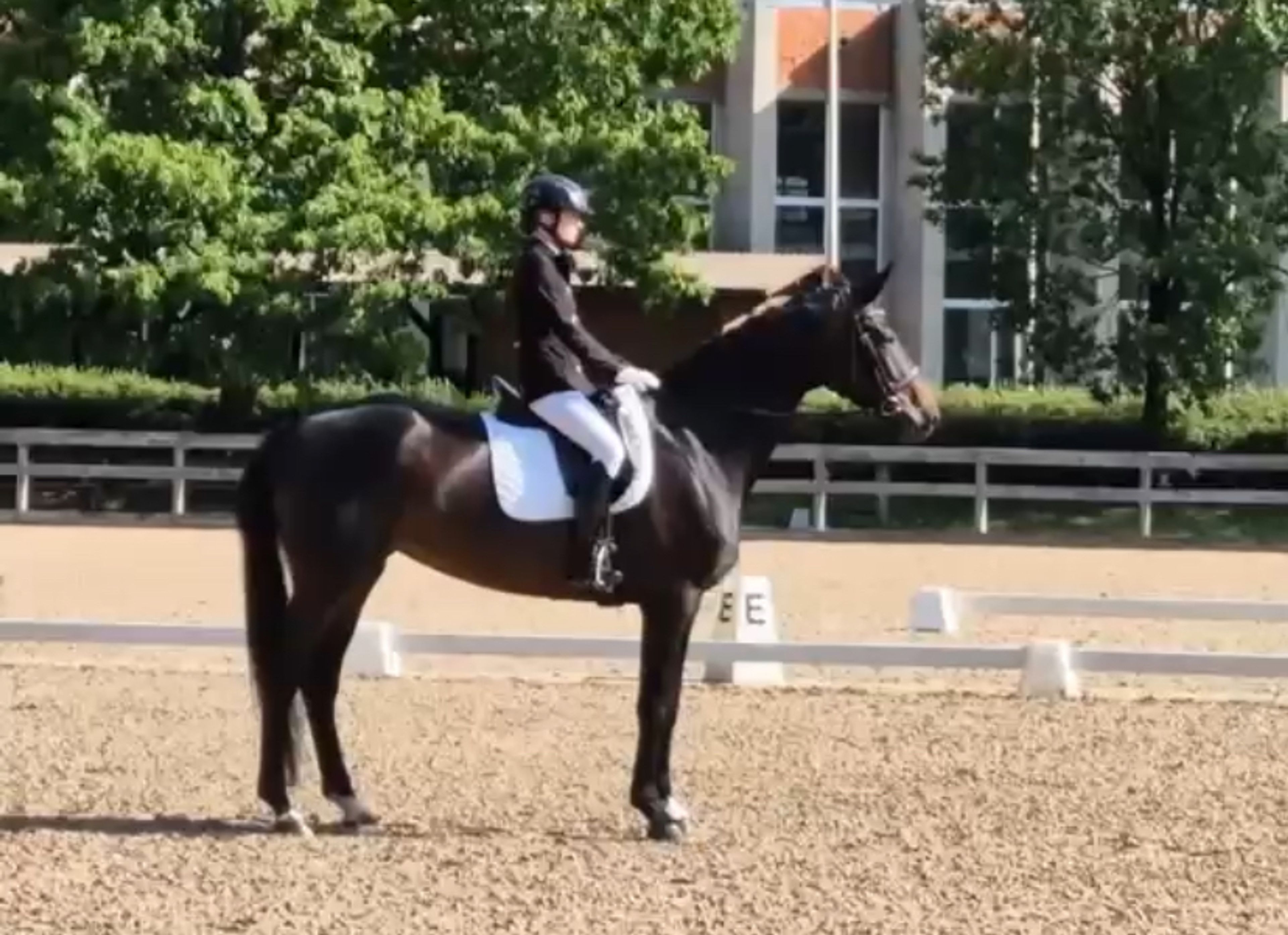 Safe Haven - Image 1