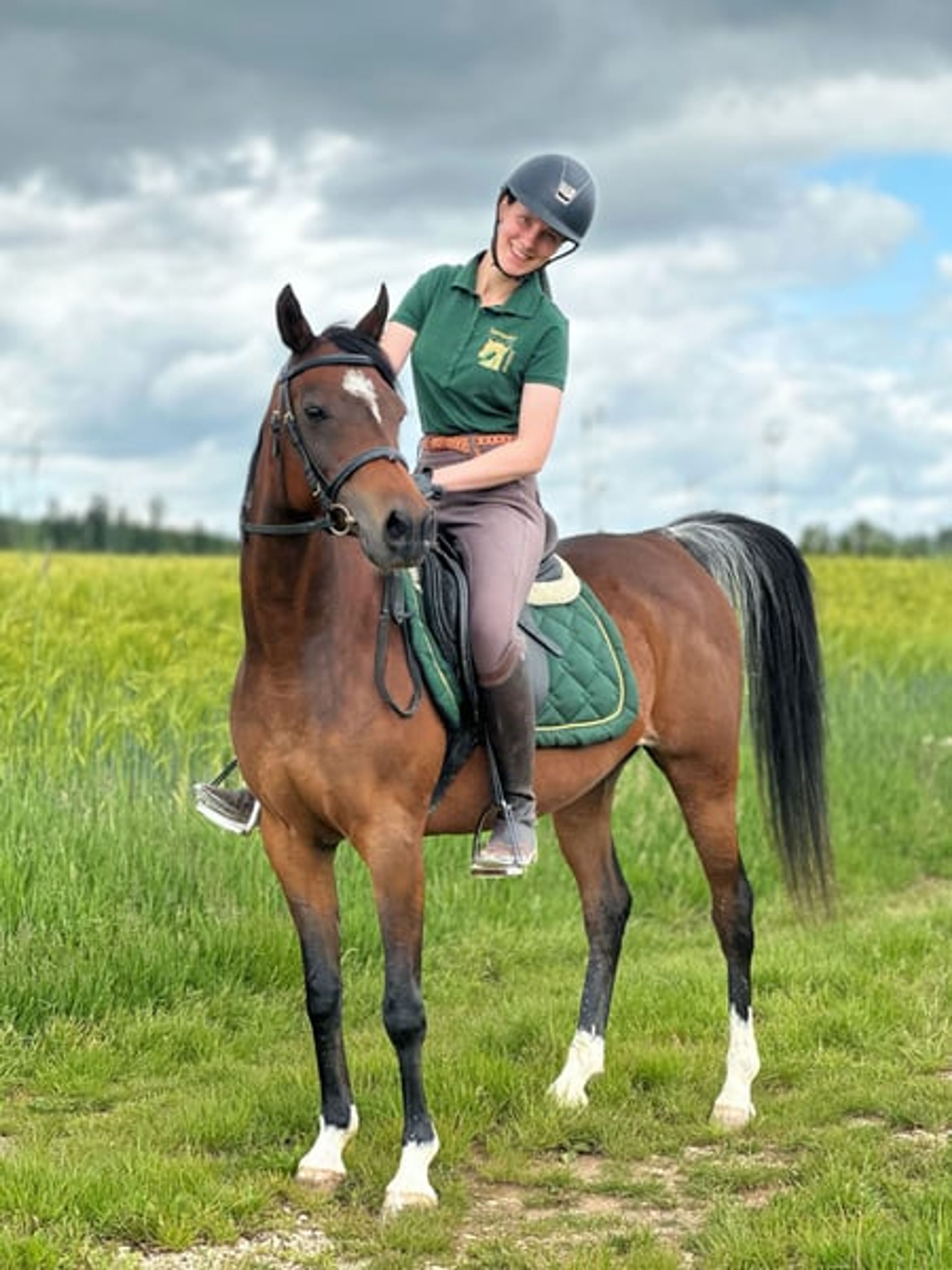 Beautiful Egyptian Arabian mare - Image 6