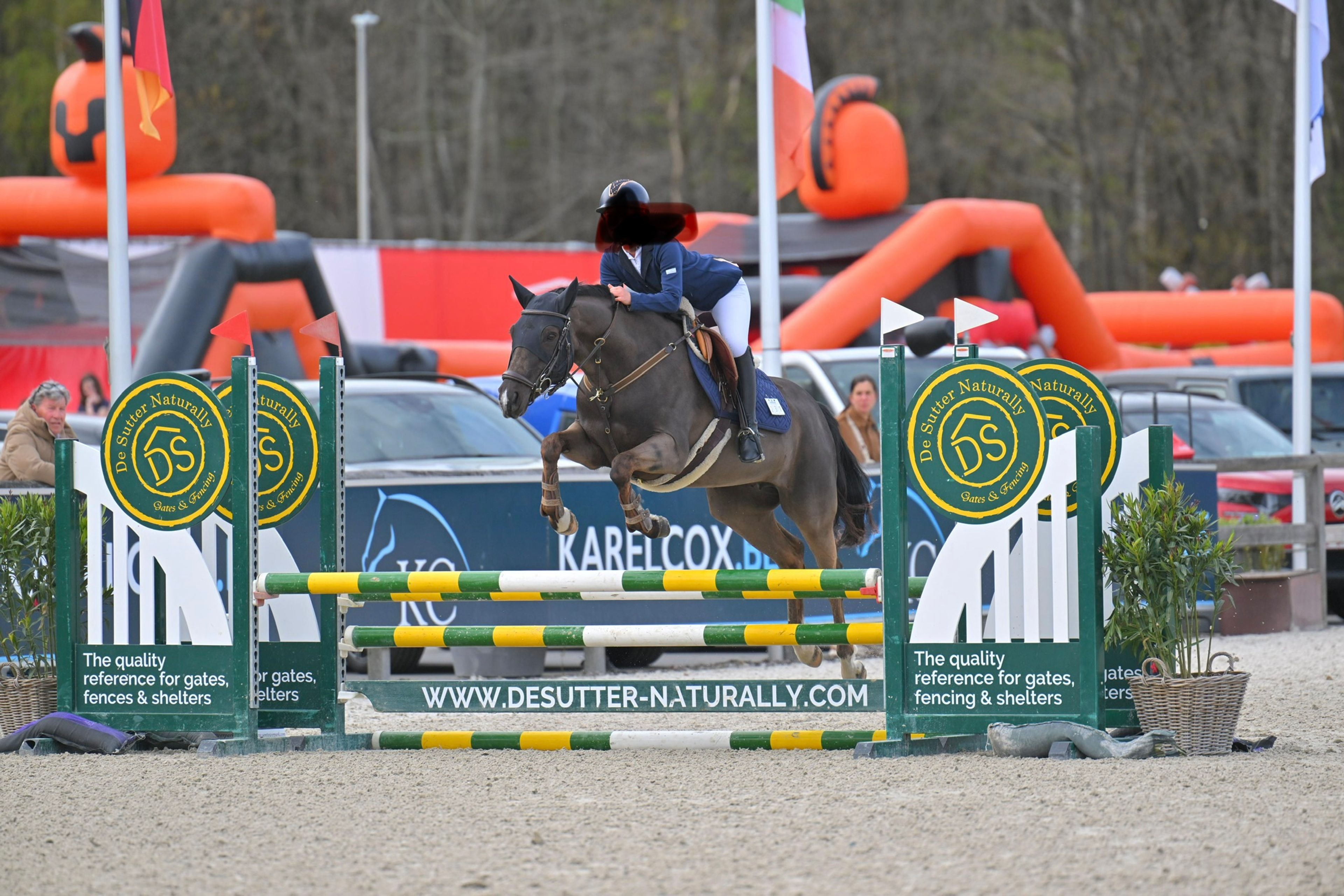 Poppings Carola (SPOEKEDAMMETJE’S NICK x ELSHOFS OTTO) - Image 1