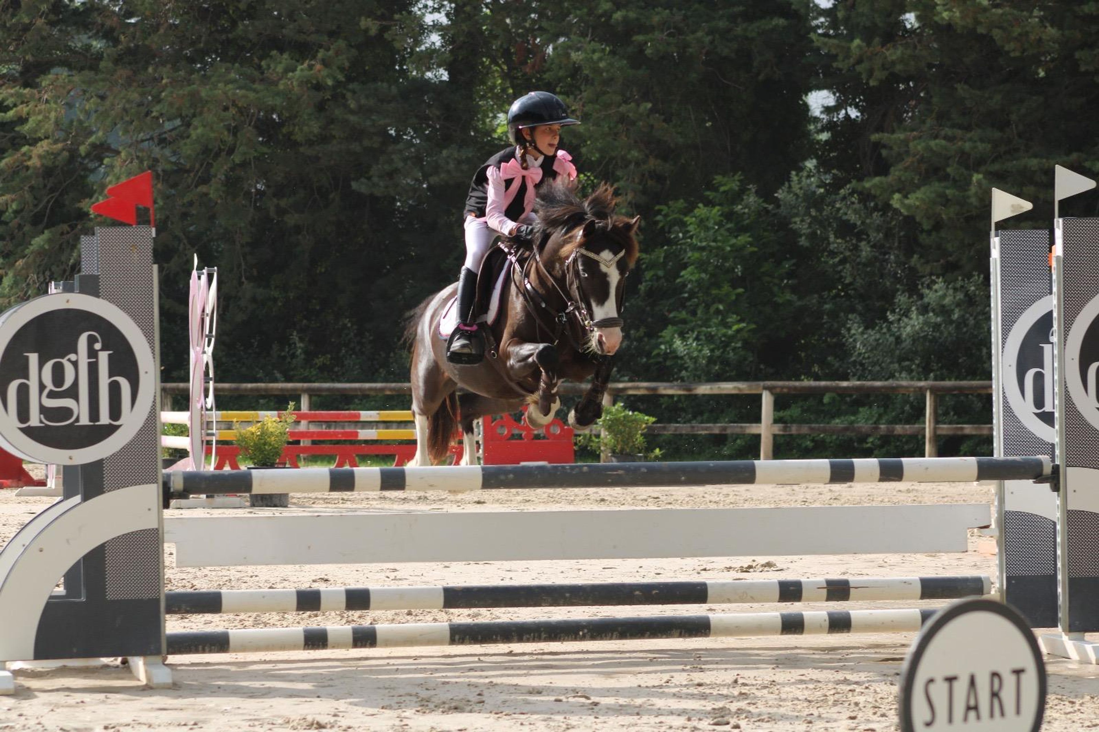 HELLBOY DE COME (- x -) - Image 1