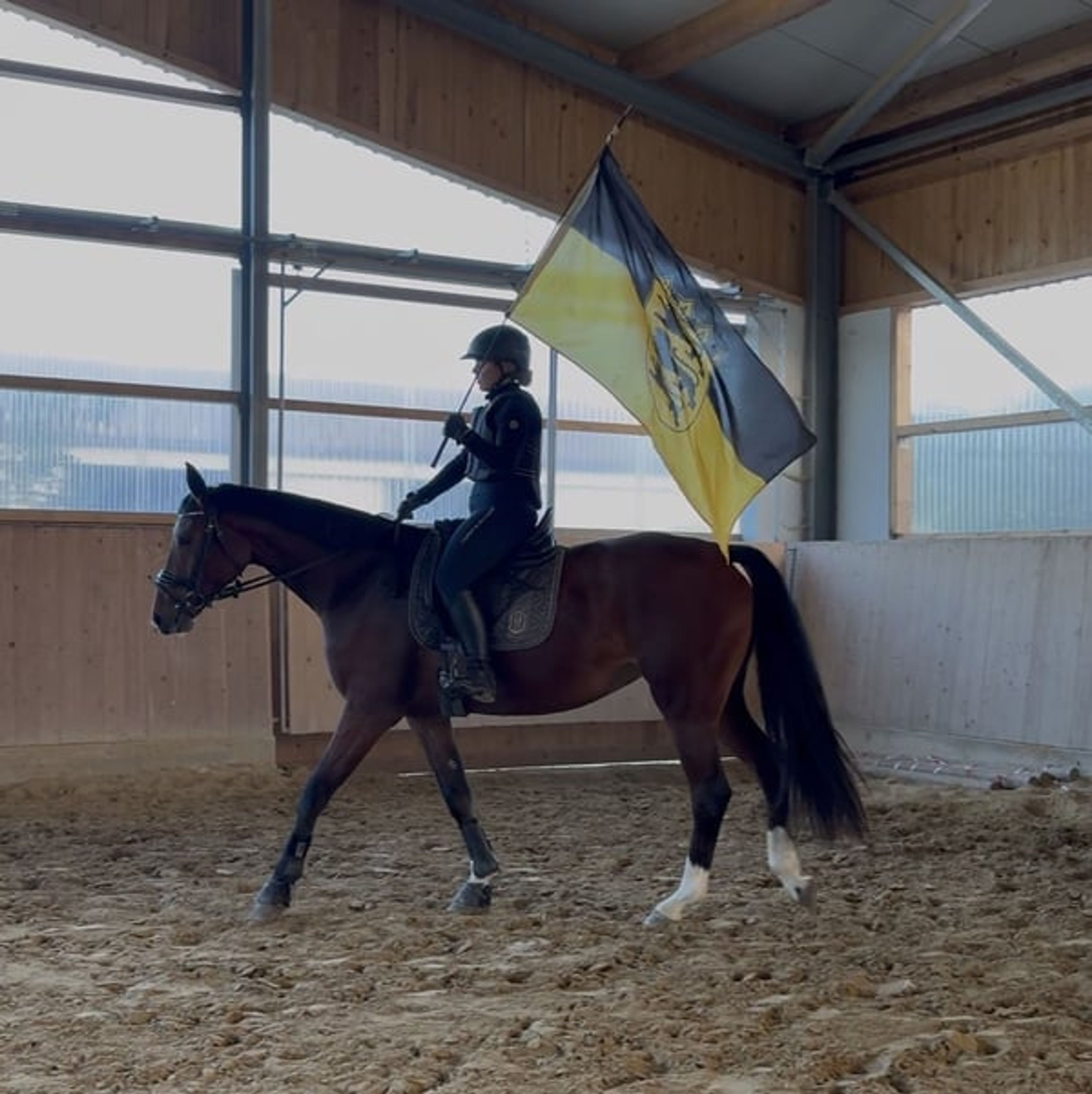 Great 3-year-old mare