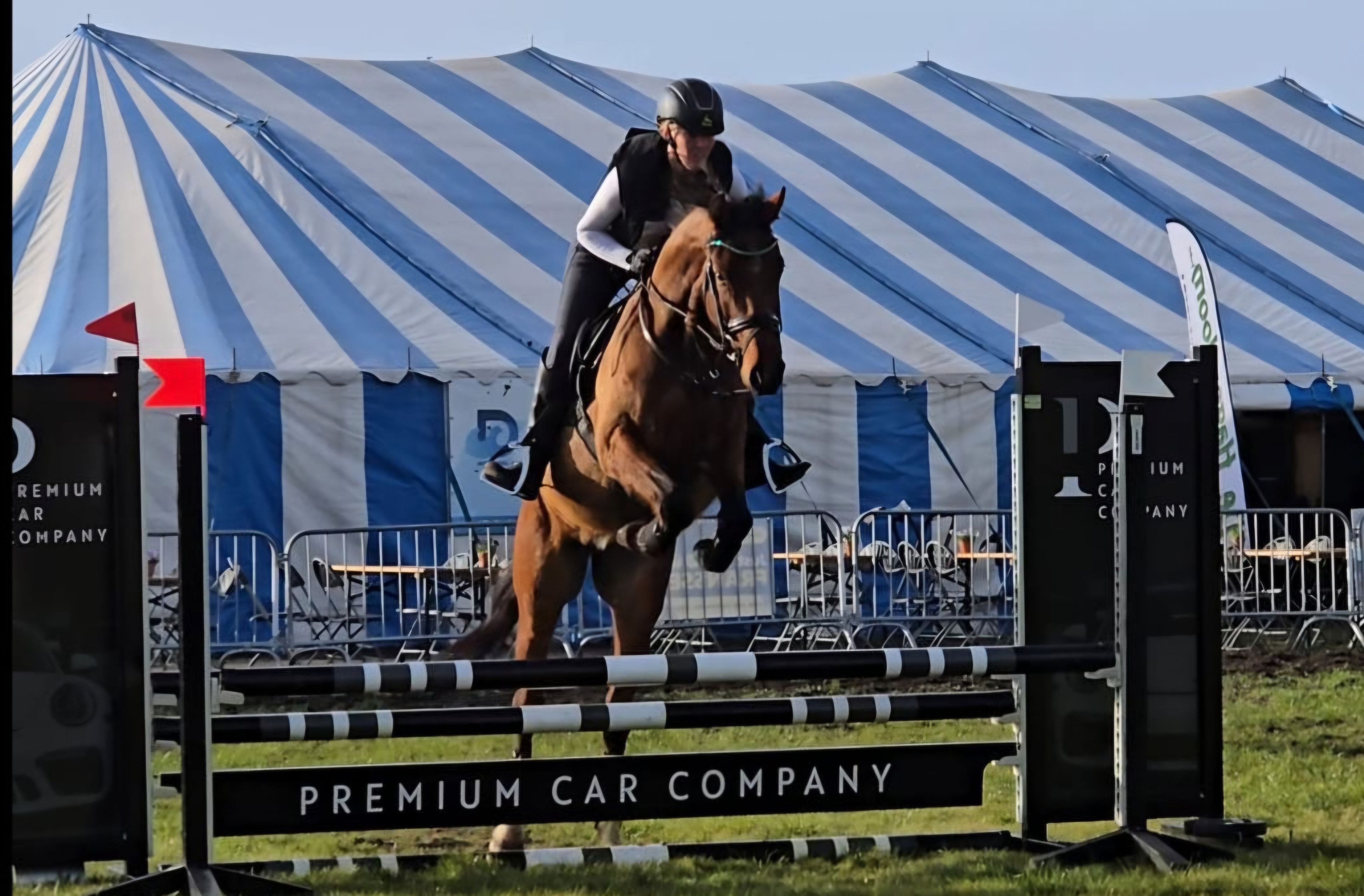 Verdi's Chilli Pepper ☆ (CHILLAX WILLI VAN'T HUKA x QUORUM DE LAUBRY) - Image 2