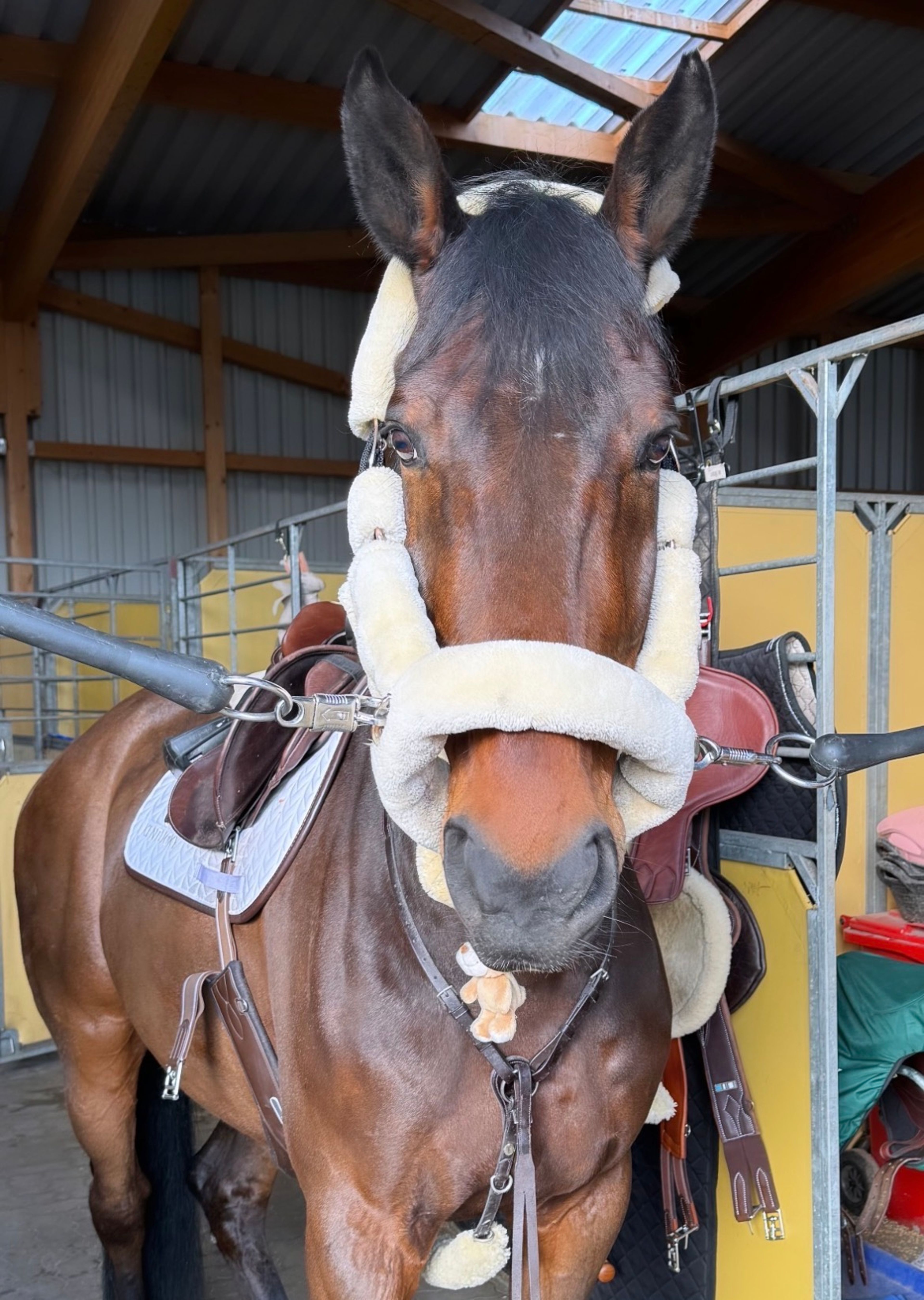 Daddys Money breaker - Image 1