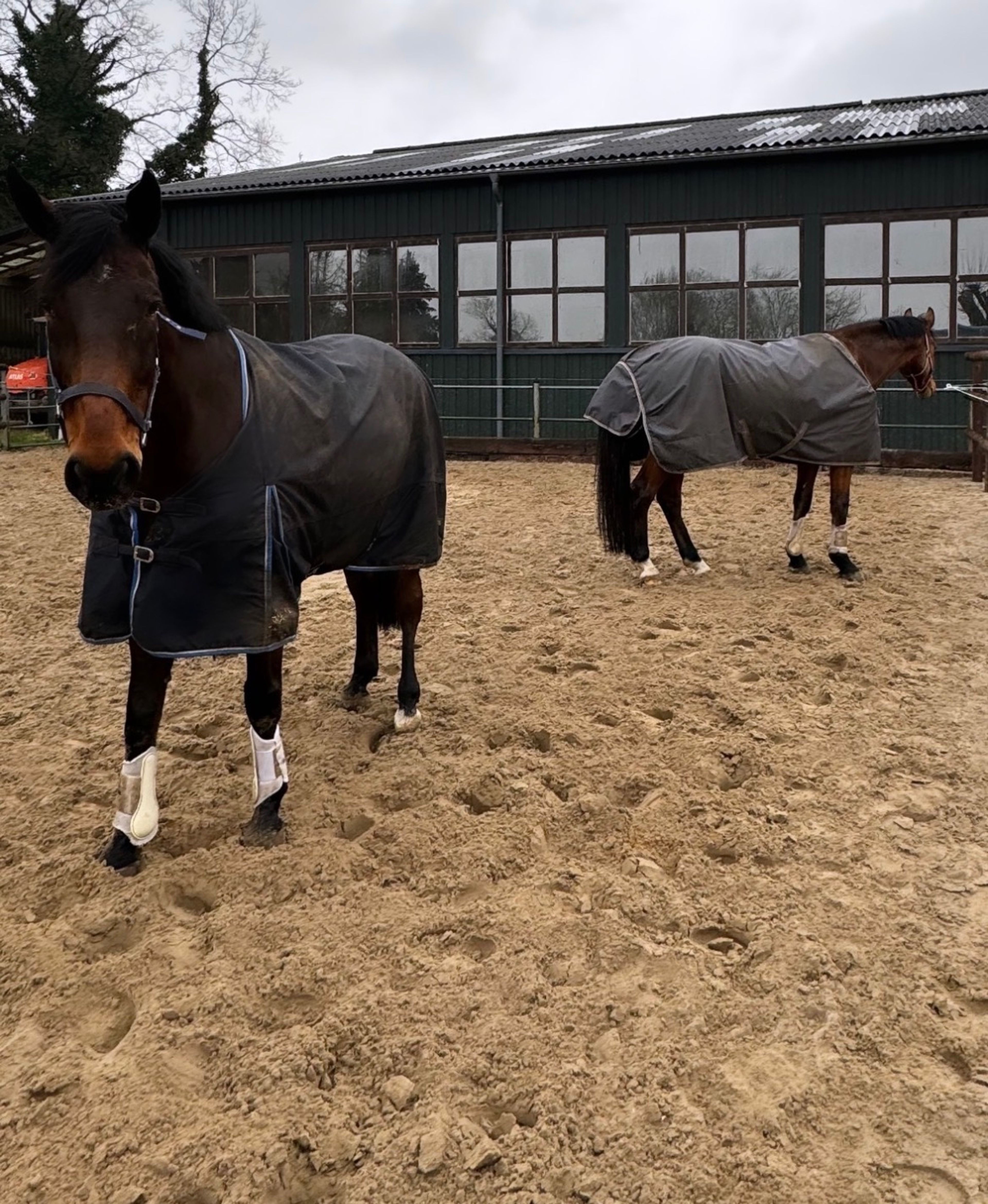 Daddys Money breaker - Image 2