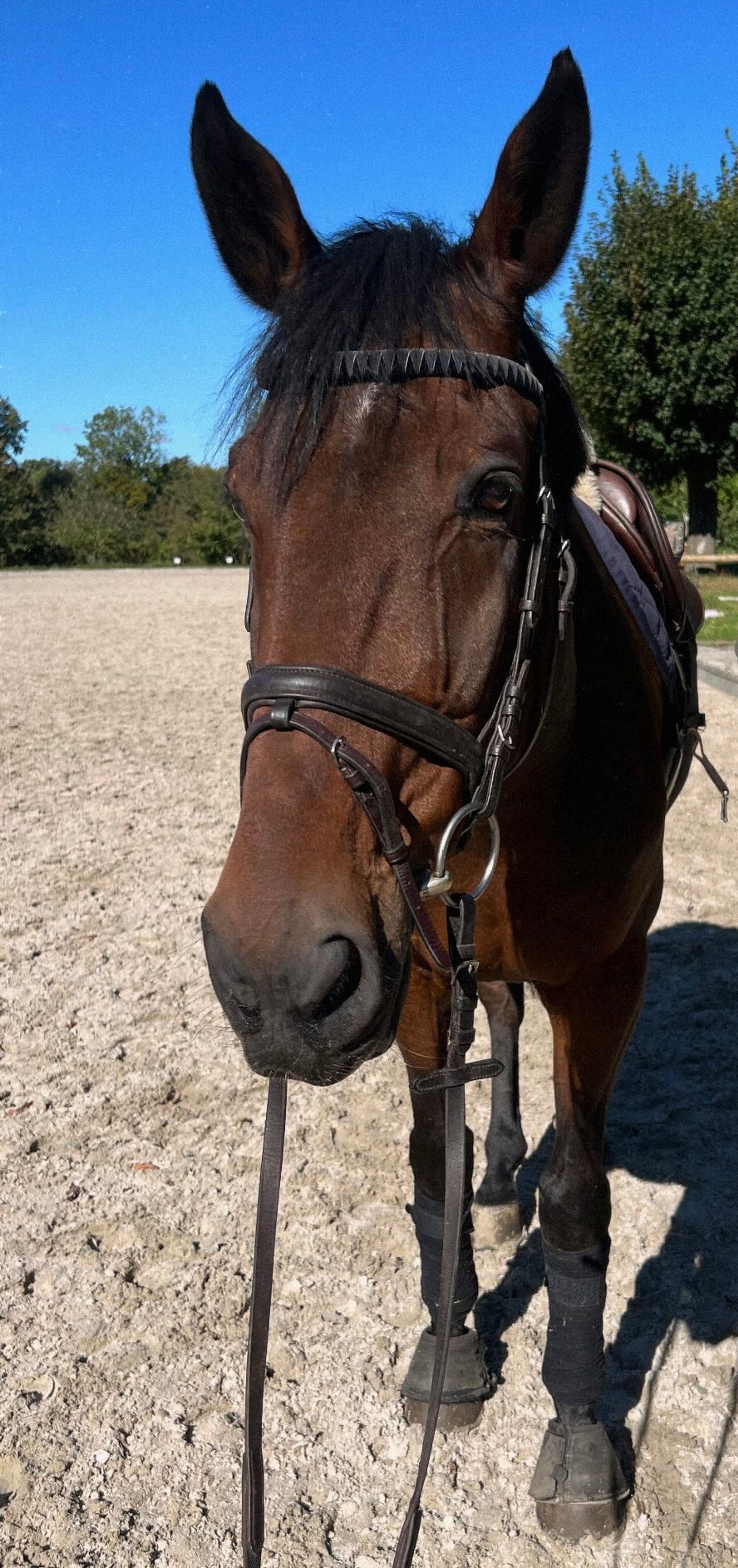 Daddys Money breaker - Image 3