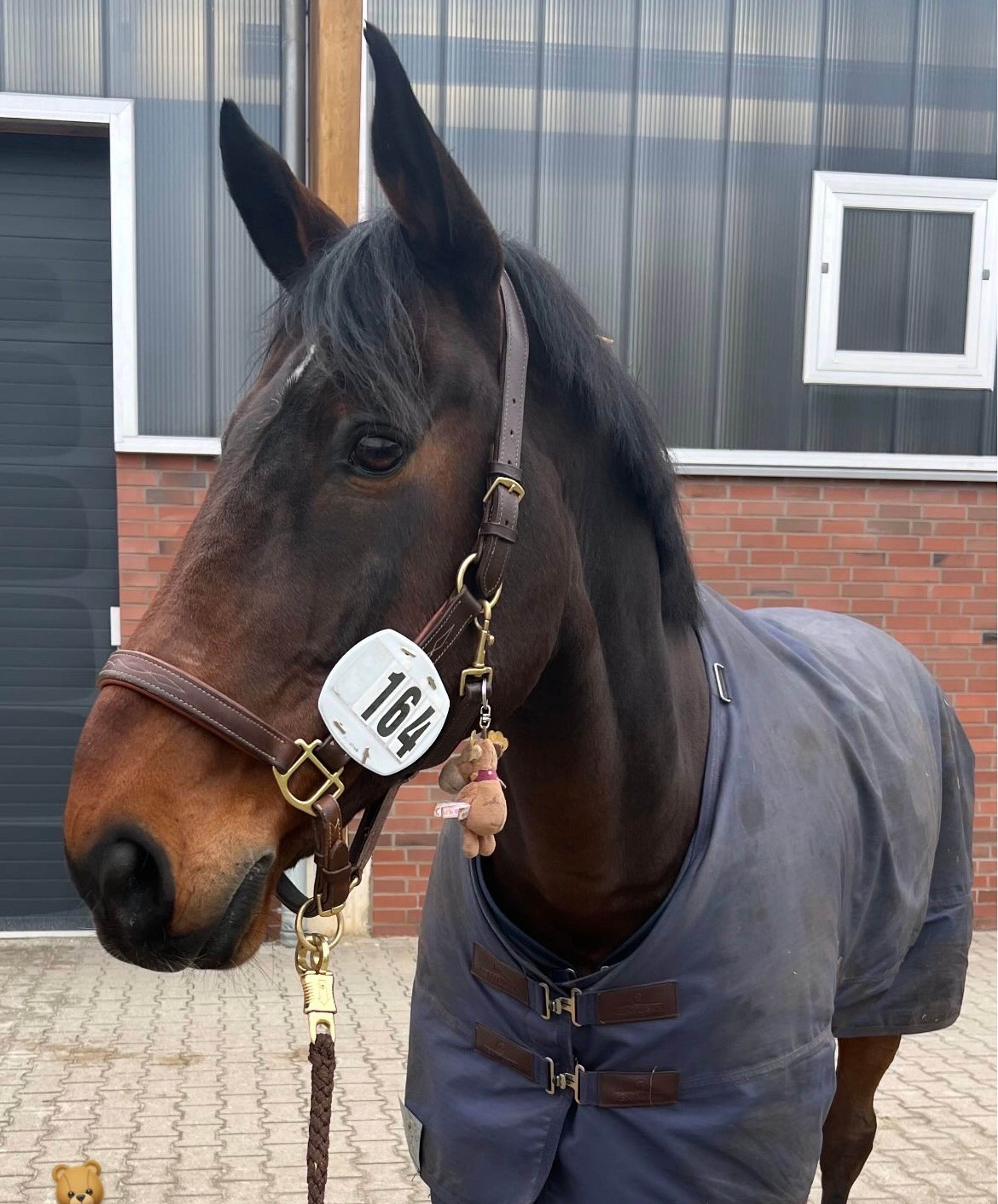 Daddys Money breaker - Image 4