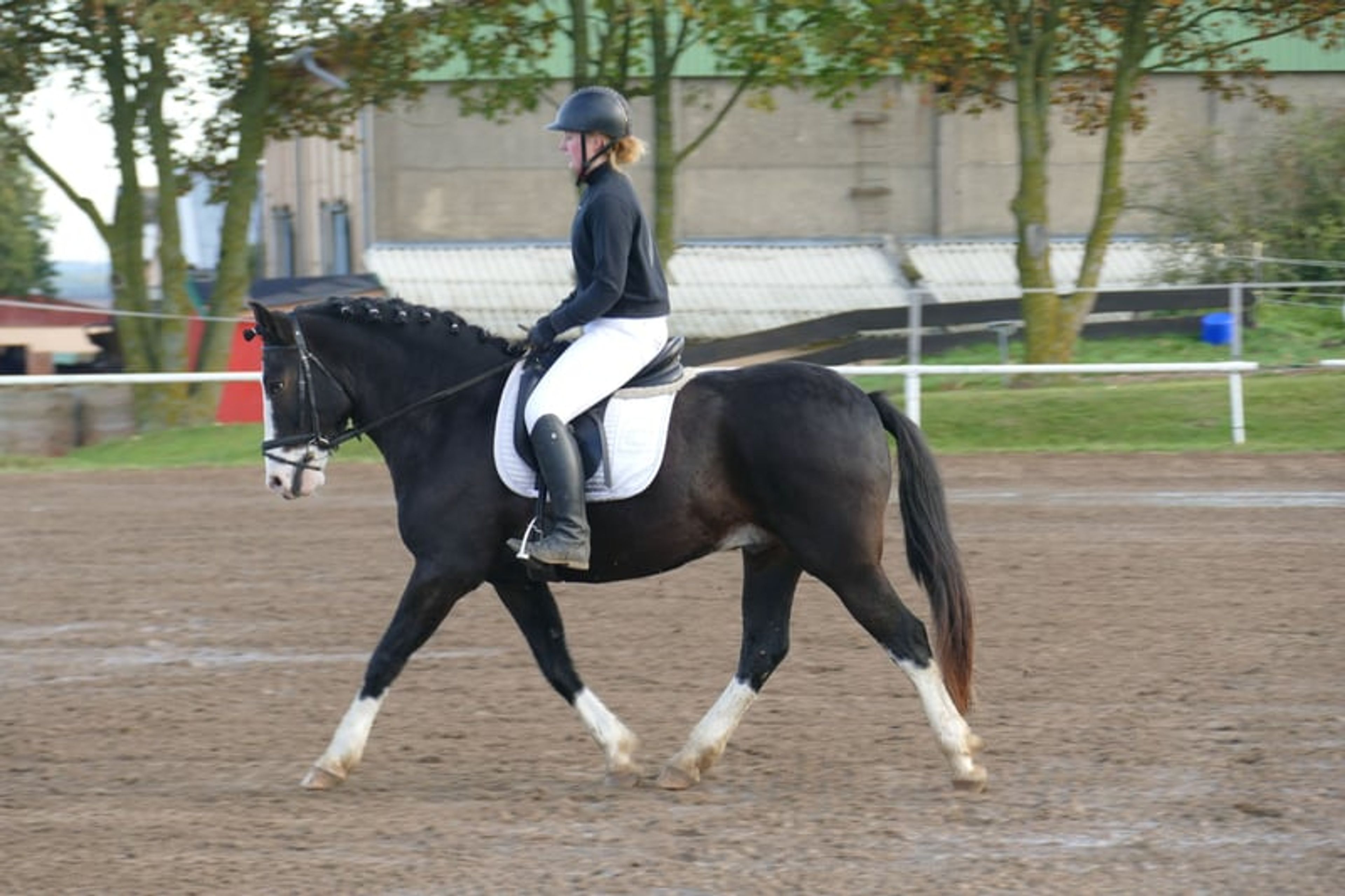Absolutely reliable children’s and beginner’s schoolmaster - Image 2