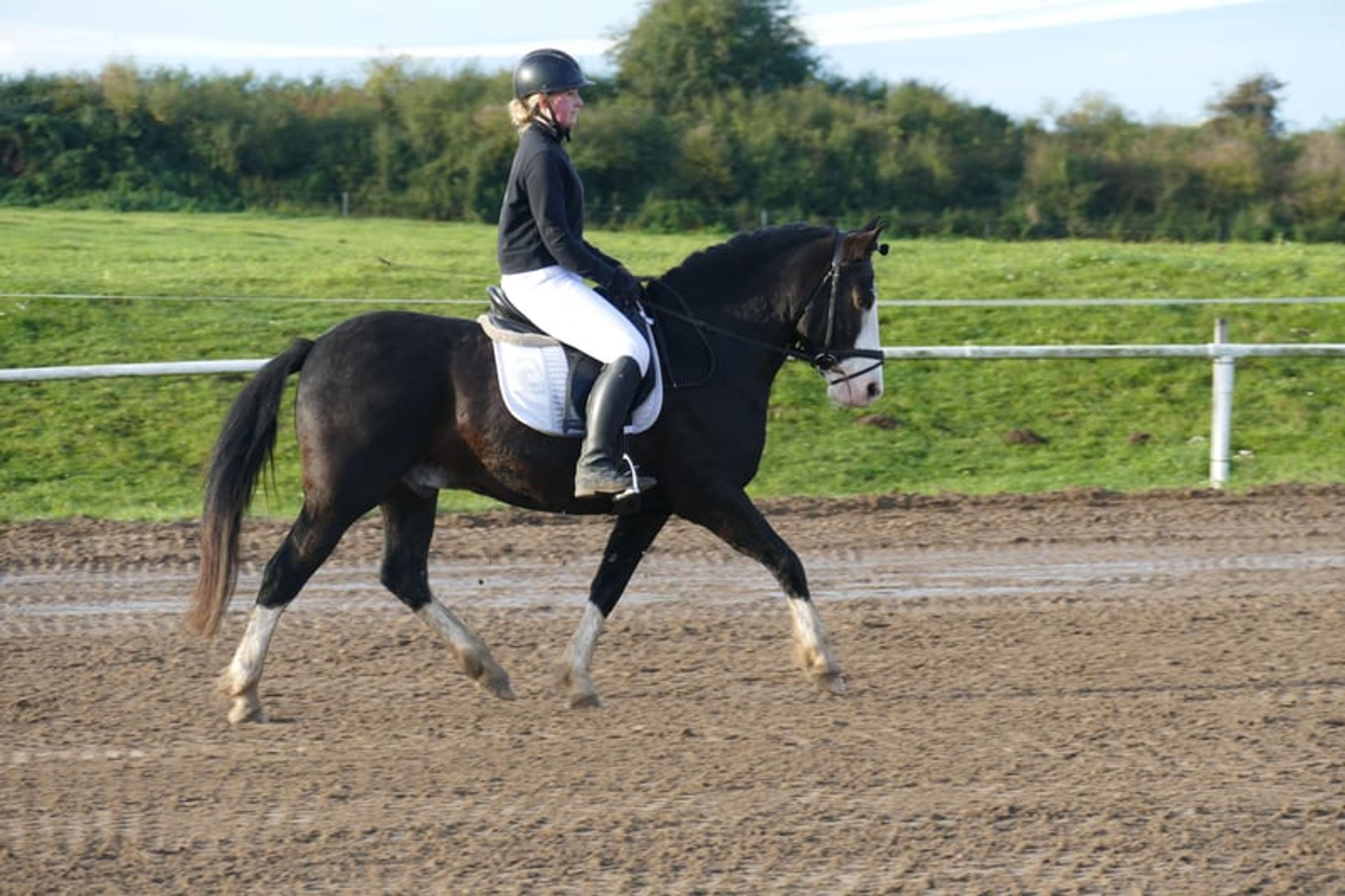 Absolutely reliable children’s and beginner’s schoolmaster - Image 3