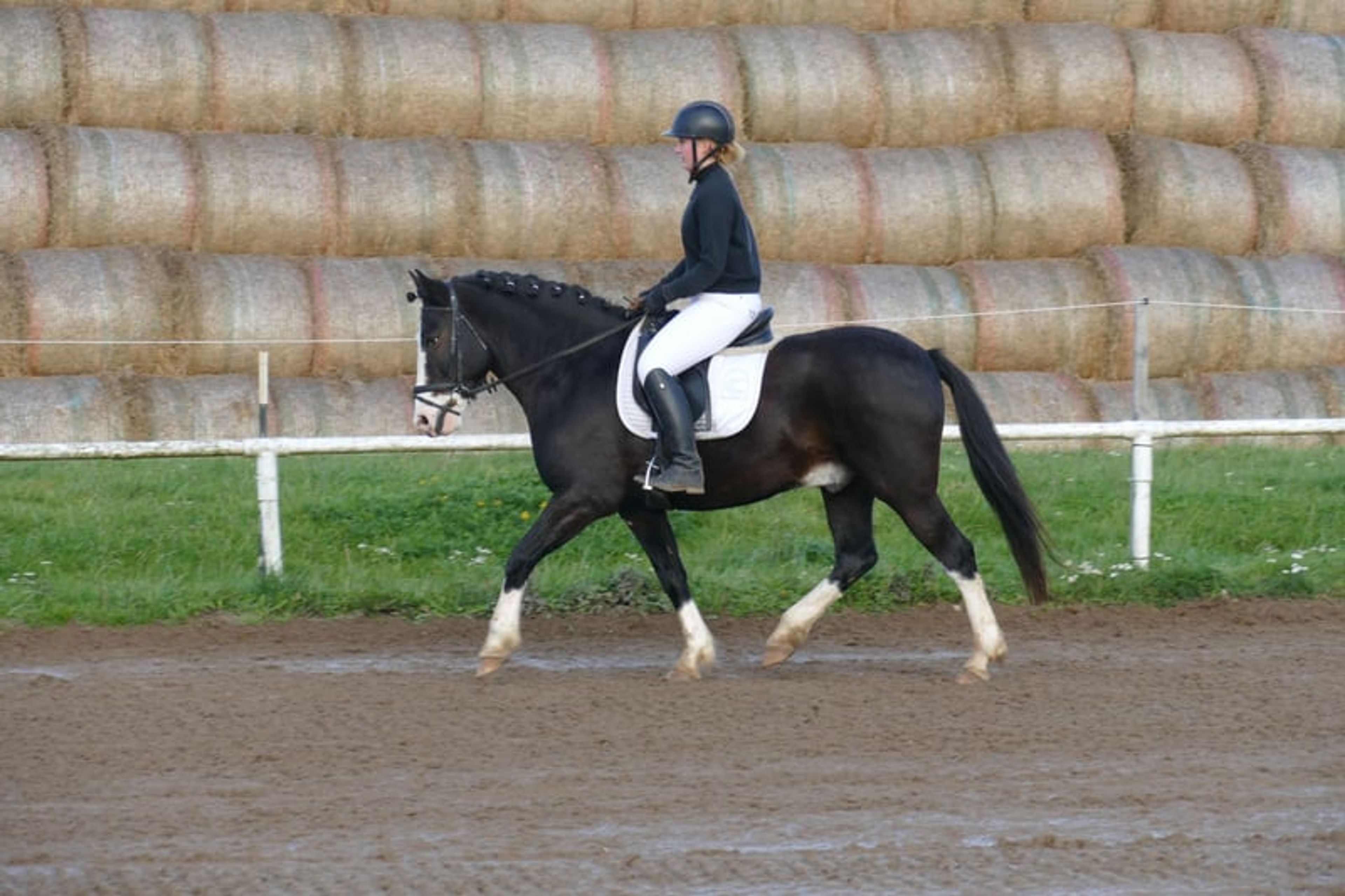 Absolutely reliable children’s and beginner’s schoolmaster - Image 4