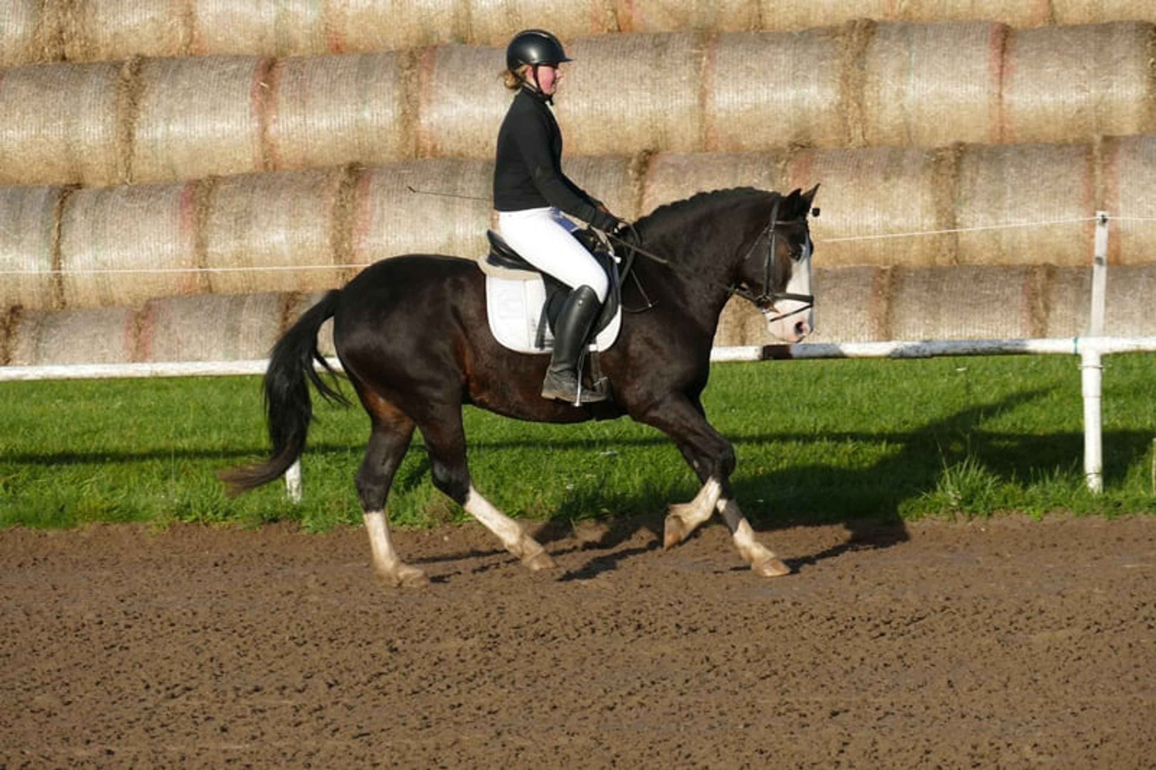 Absolutely reliable children’s and beginner’s schoolmaster - Image 5