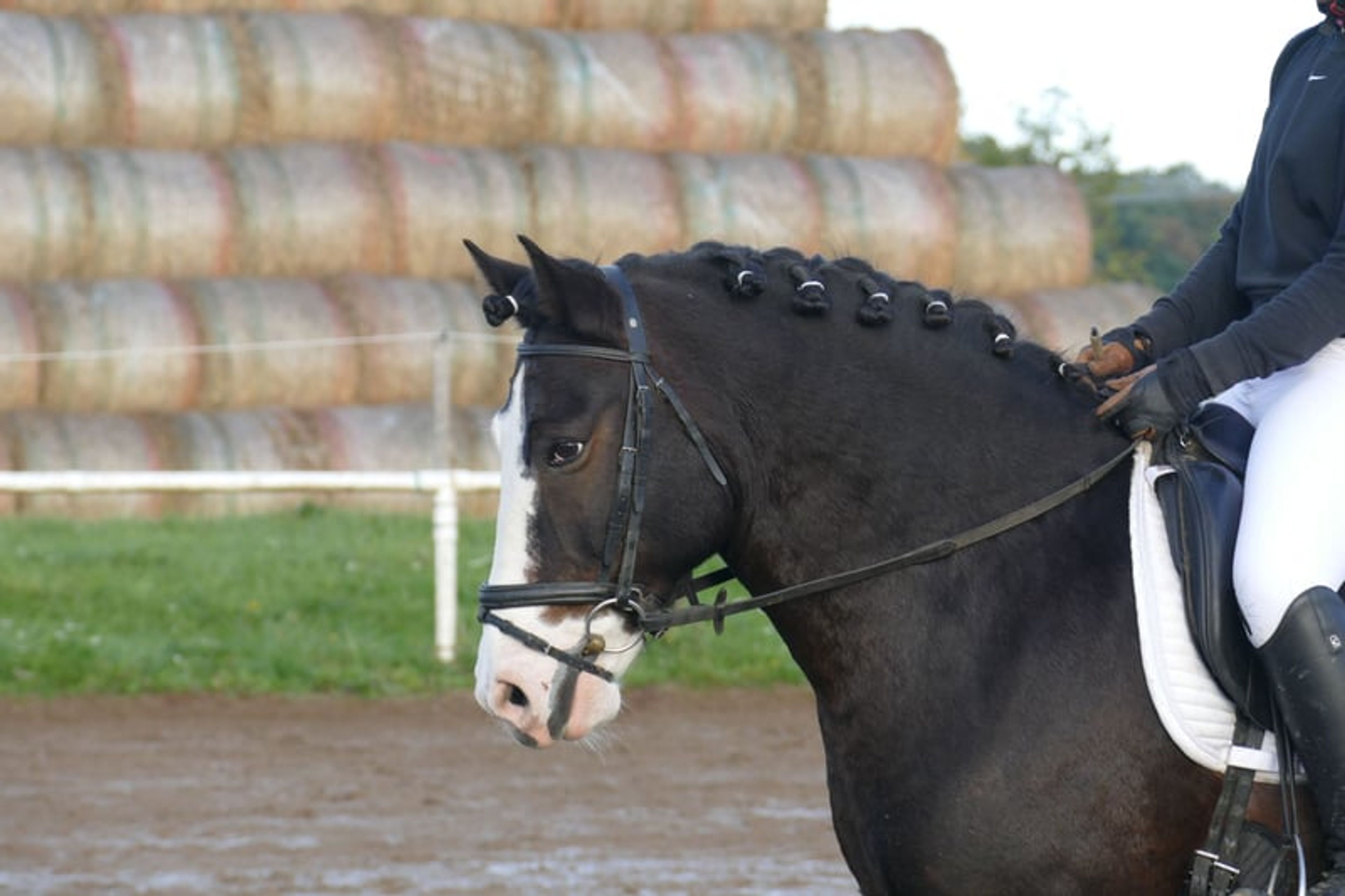 Absolutely reliable children’s and beginner’s schoolmaster - Image 6