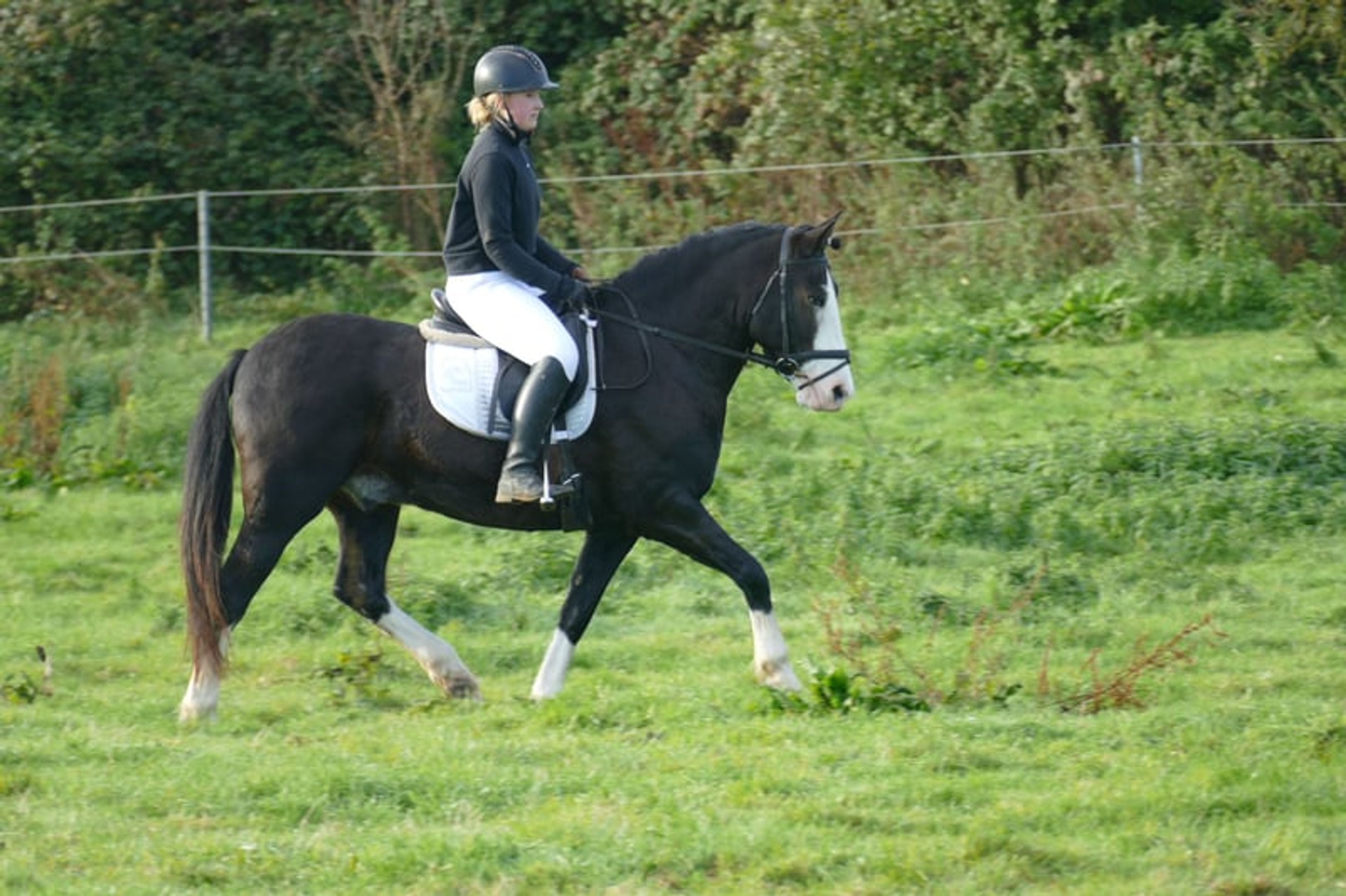 Absolutely reliable children’s and beginner’s schoolmaster - Image 7