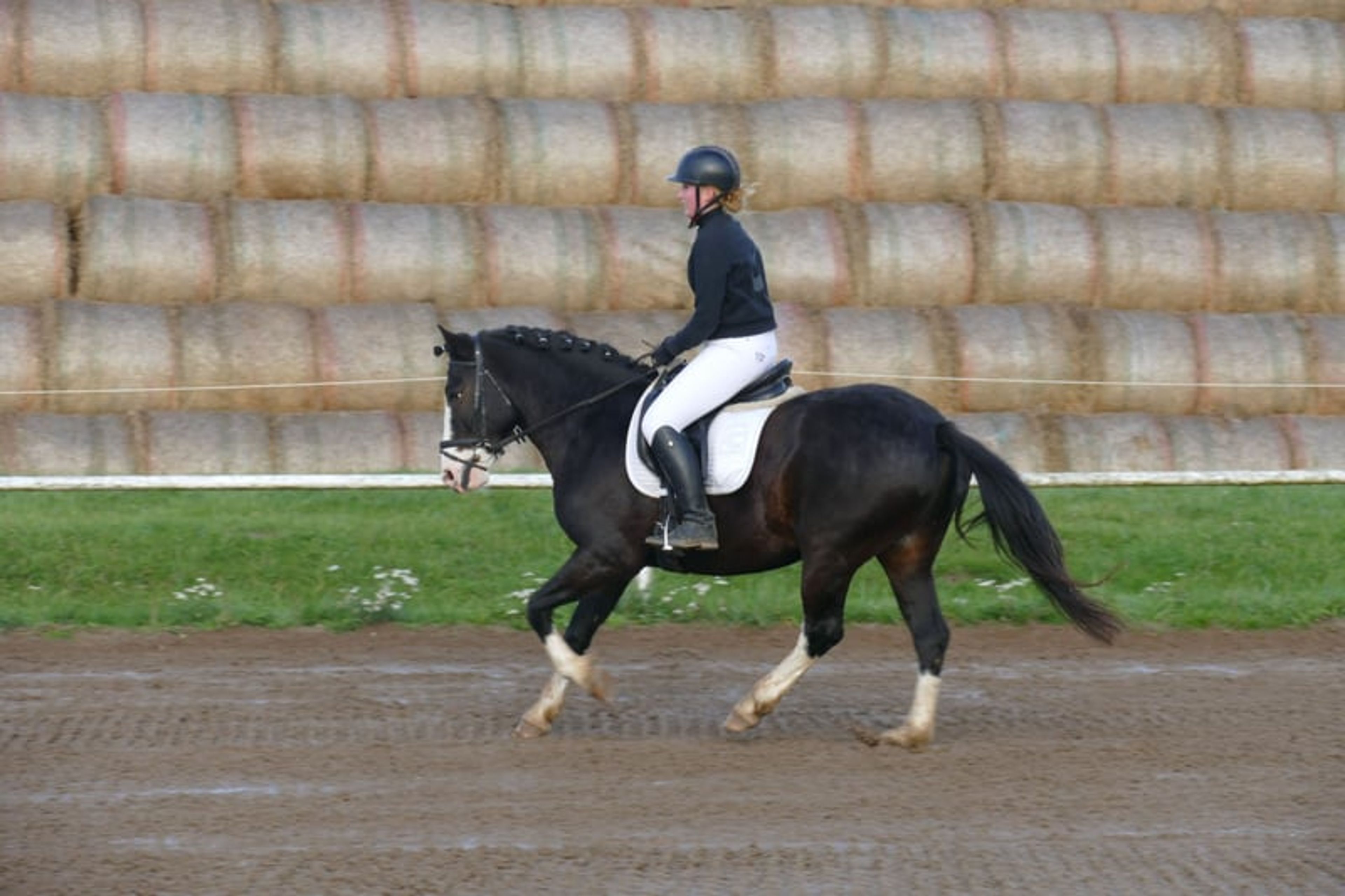 Absolutely reliable children’s and beginner’s schoolmaster - Image 8