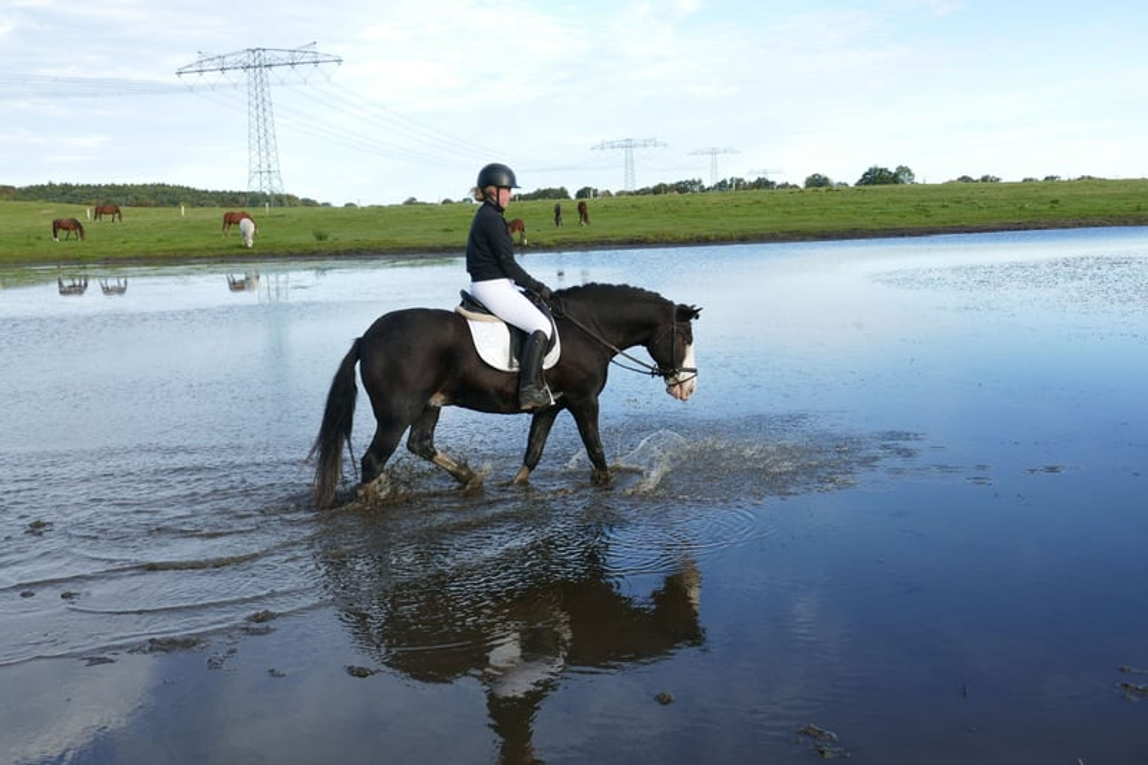 Absolutely reliable children’s and beginner’s schoolmaster - Image 9