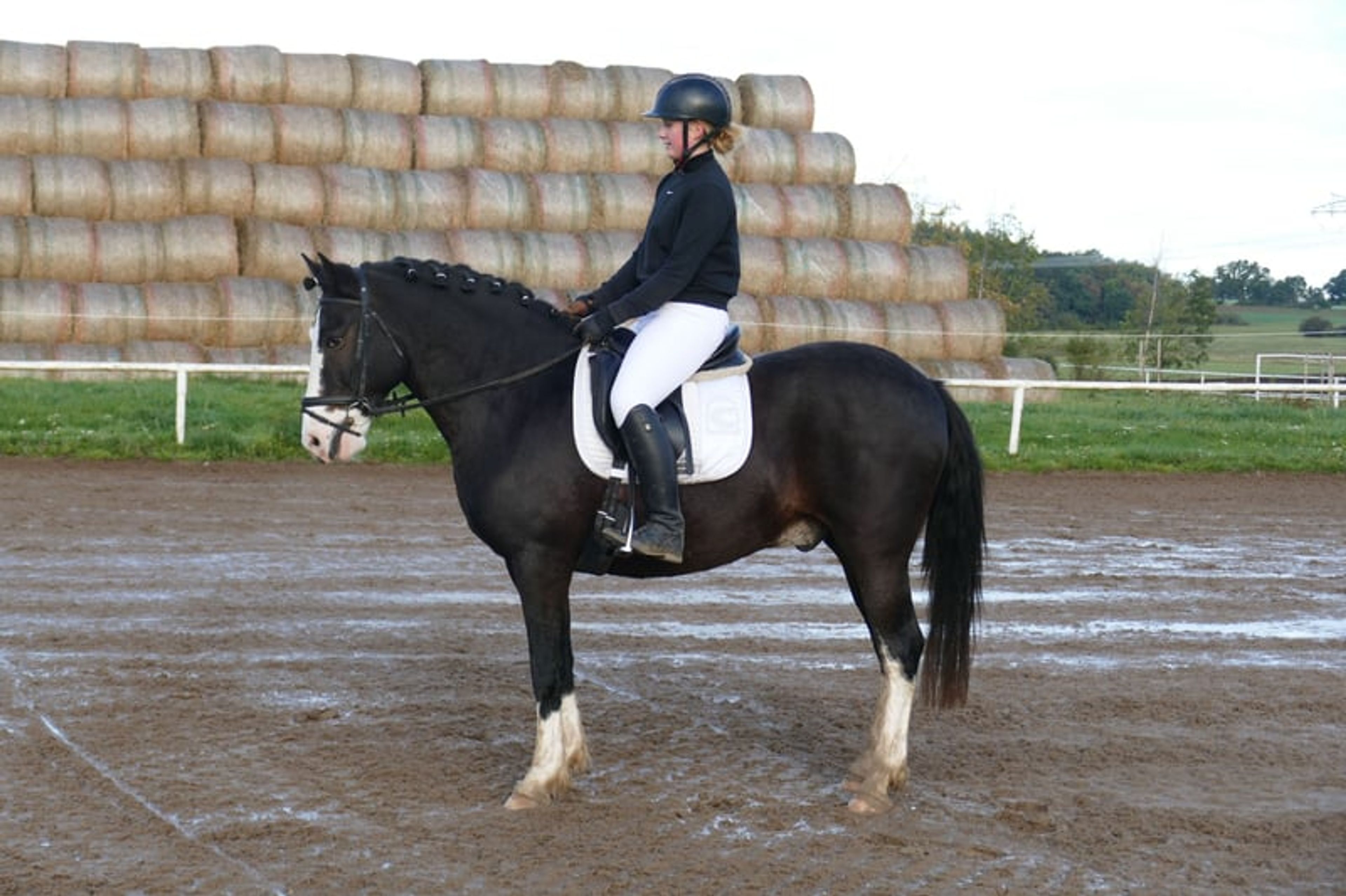 Absolutely reliable children’s and beginner’s schoolmaster - Image 10