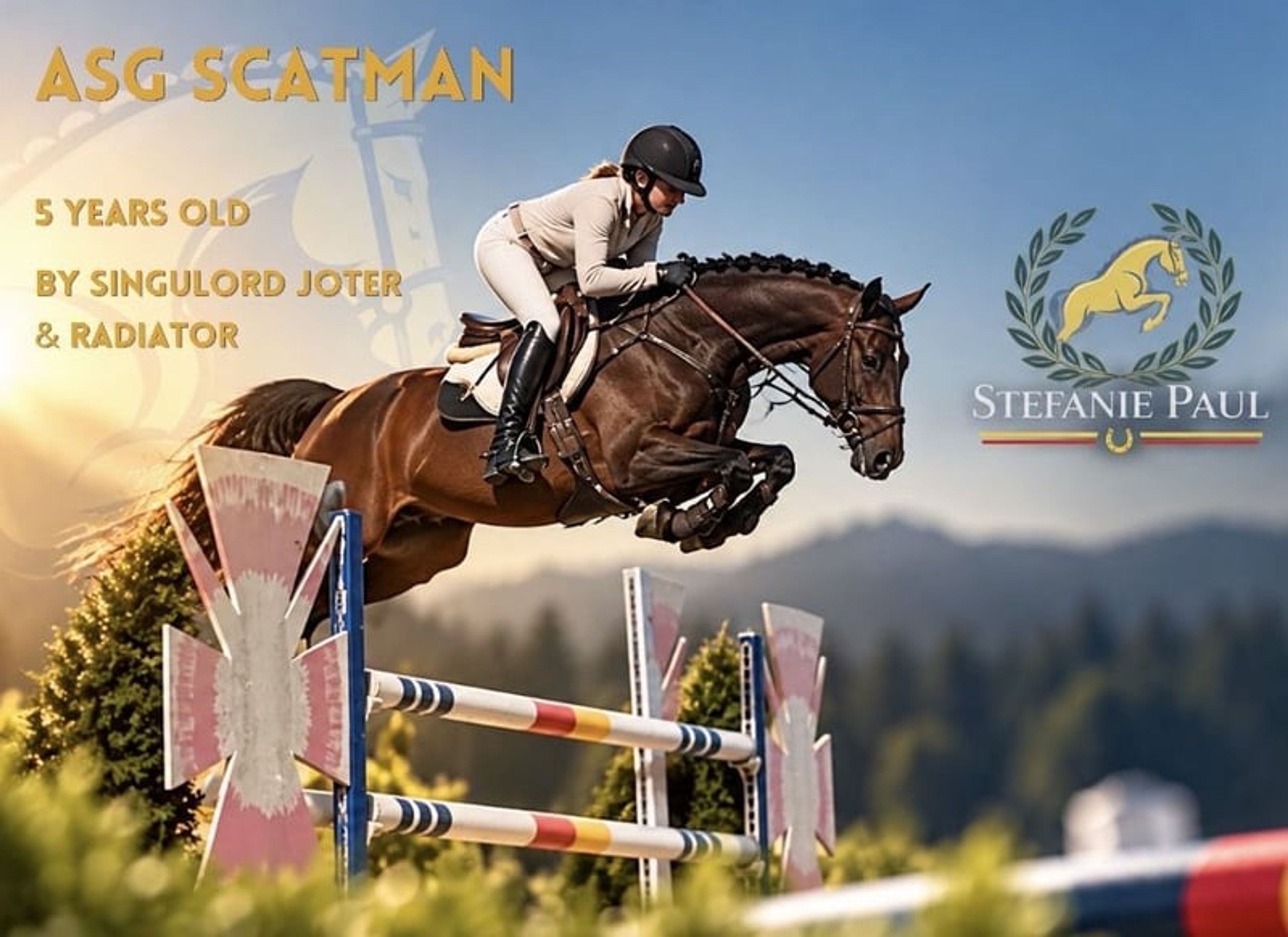 Winning youngster – dam internationally placed at 1.45 m