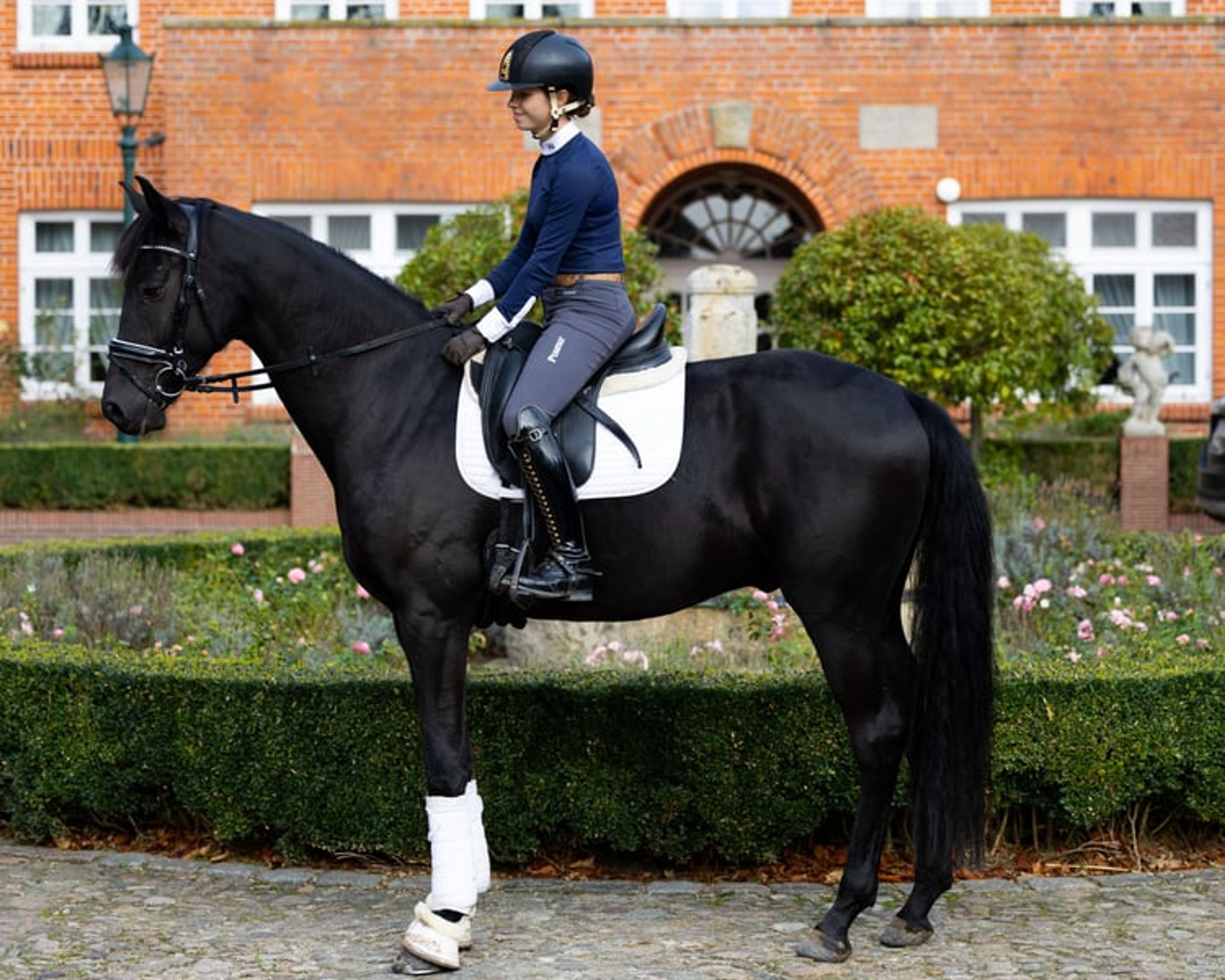 Charming son of Fire Jazz with good potential for dressage. - Image 2